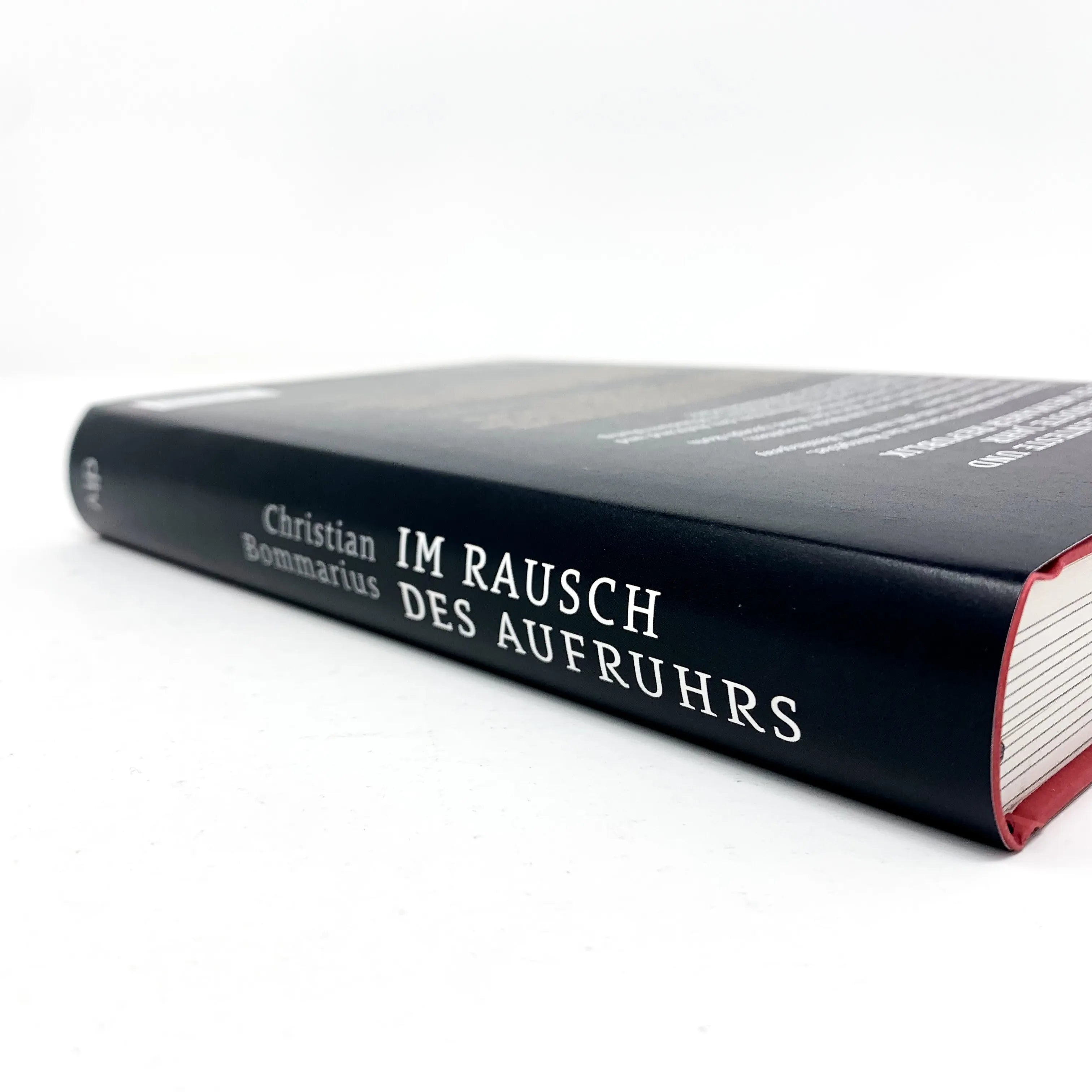 Abbildung von 'Im Rausch des Aufruhrs'