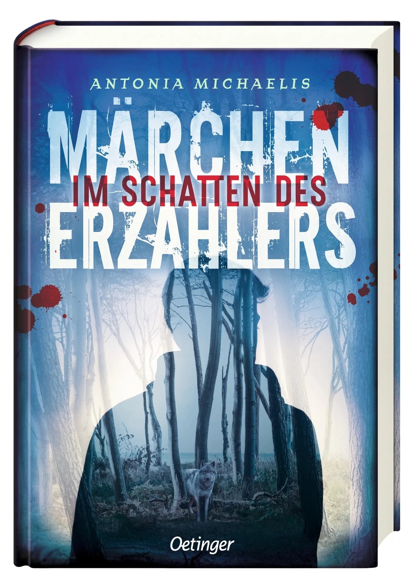 Detailansicht: Im Schatten des Märchenerzählers (Hardcover)