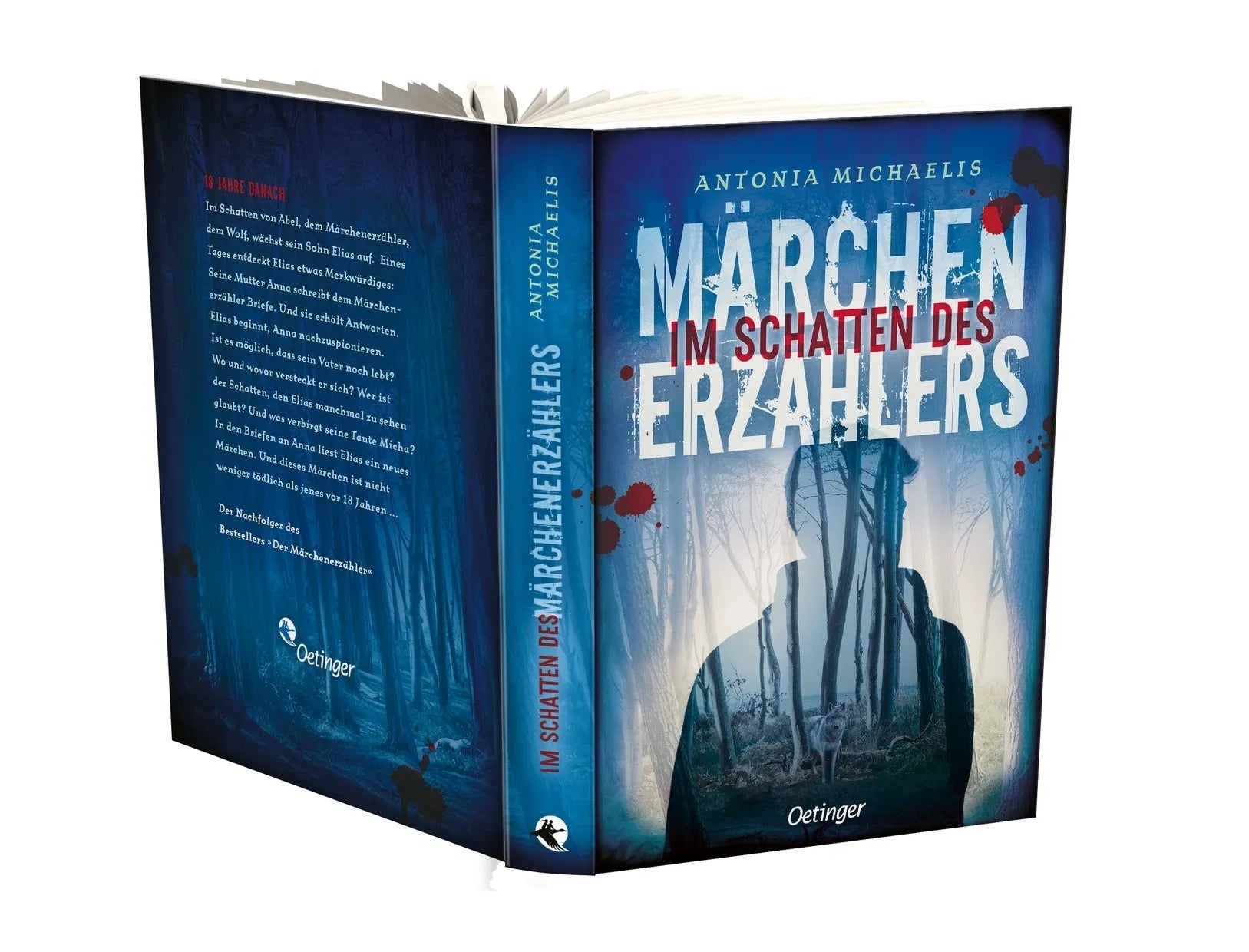 Detailansicht: Im Schatten des Märchenerzählers (Hardcover)