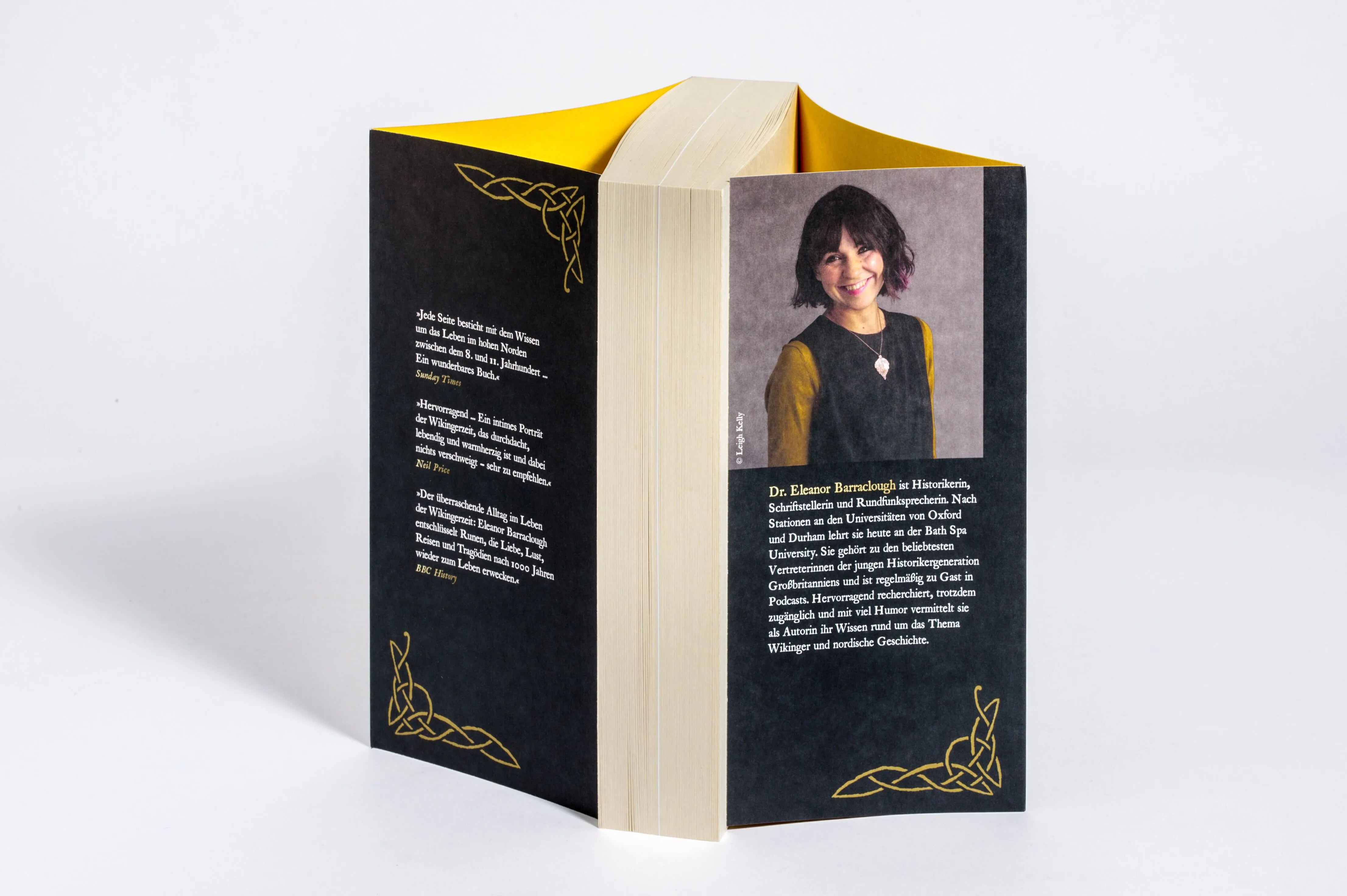 Detailansicht: Im Schein von Gold und Feuer (Paperback)