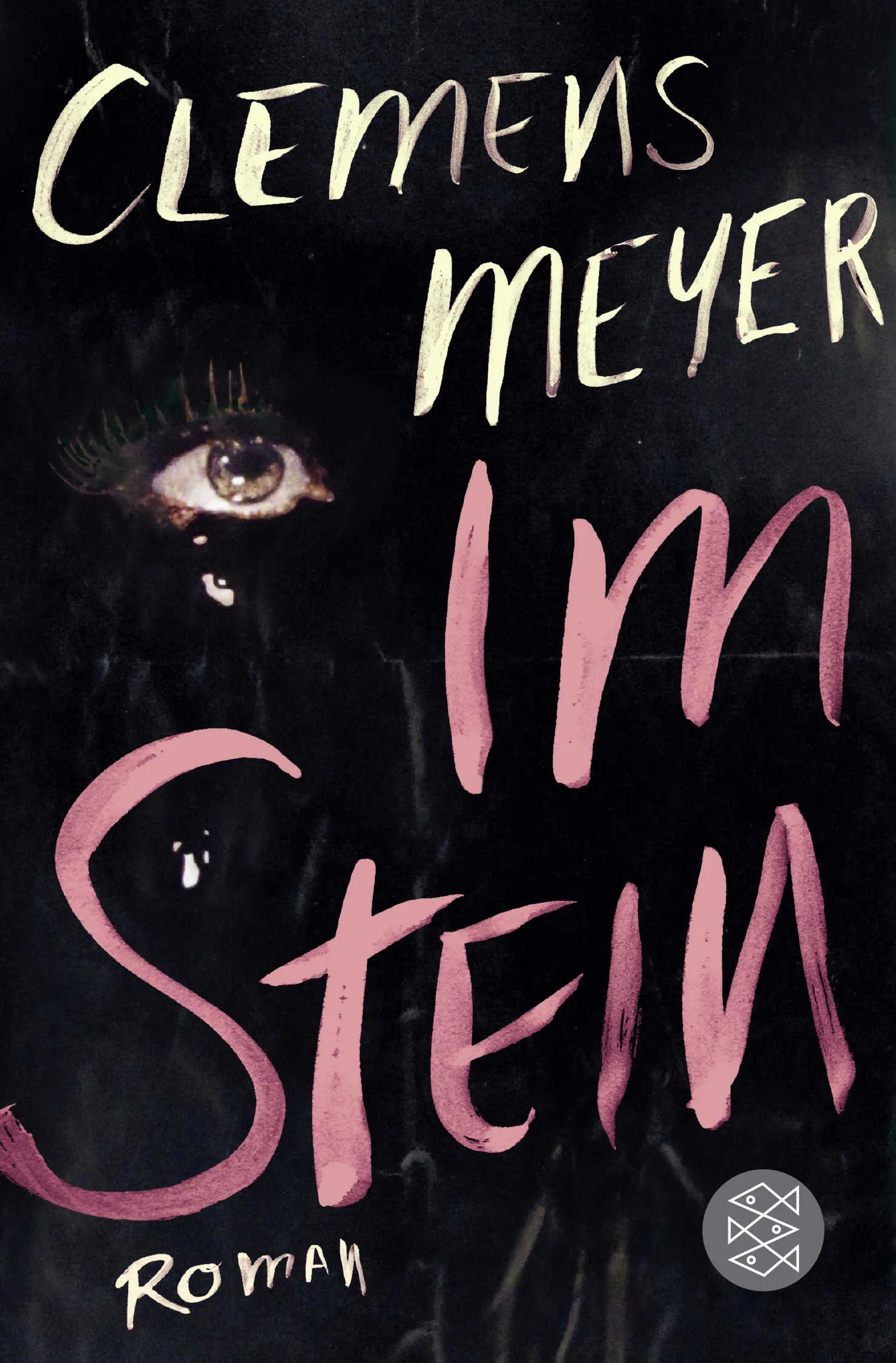 Buchcover von 'Im Stein' - Taschenbuch von Clemens Meyer