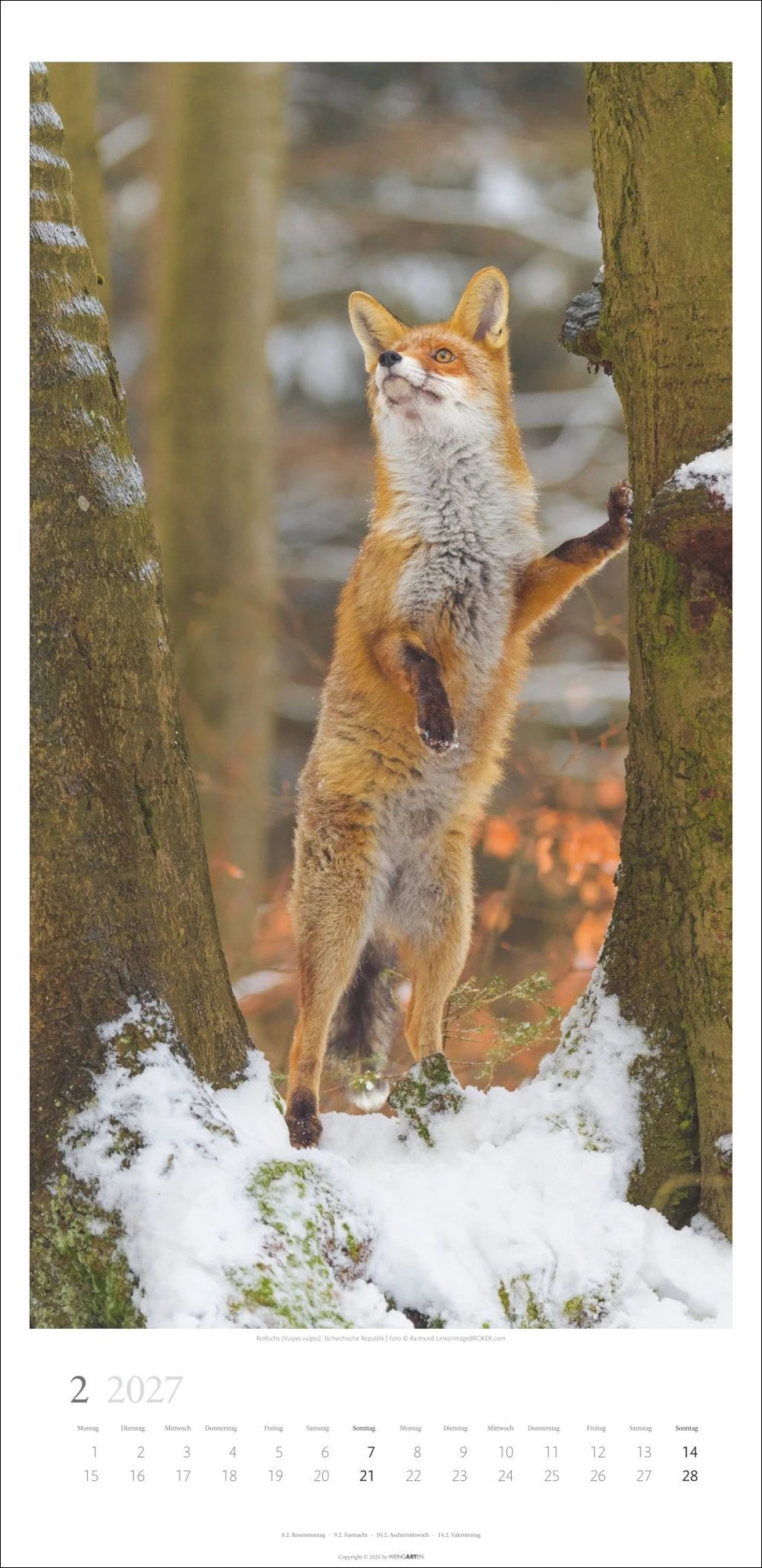 Im Wald Kalender 2027 – Ansicht