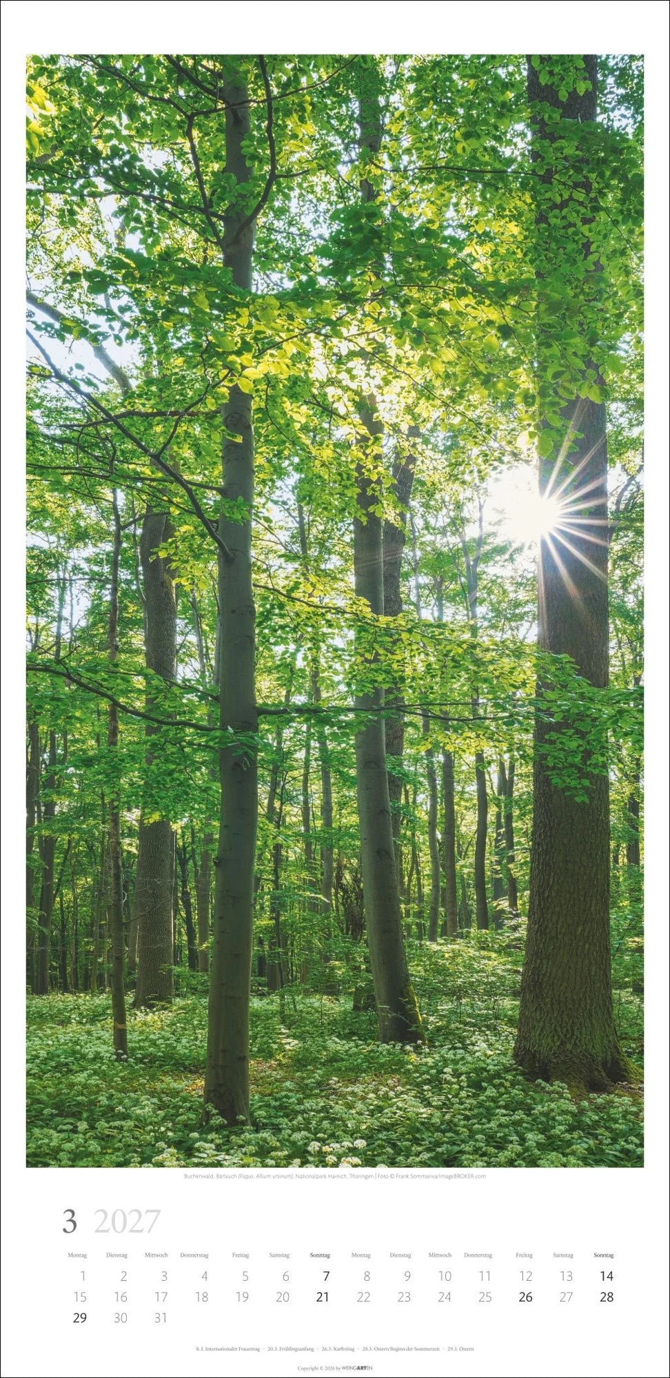 Im Wald Kalender 2027 – Ansicht