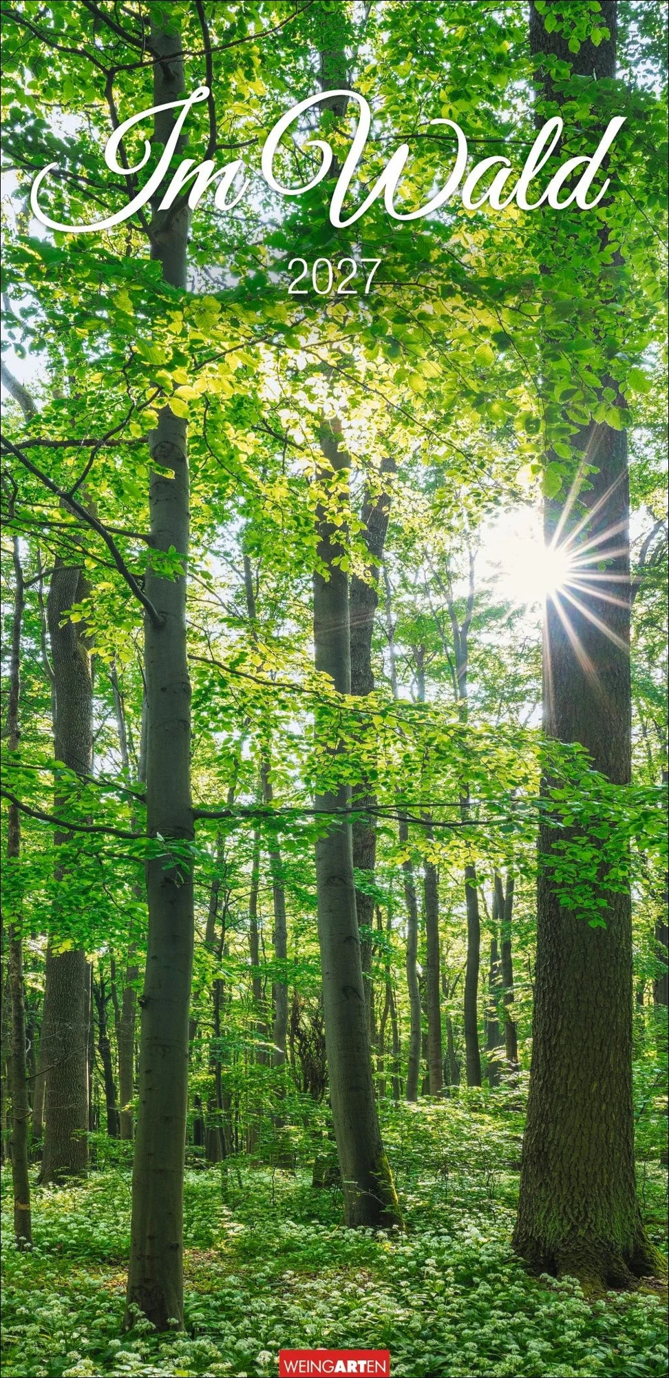 Wandkalender: Im Wald Kalender 2027
