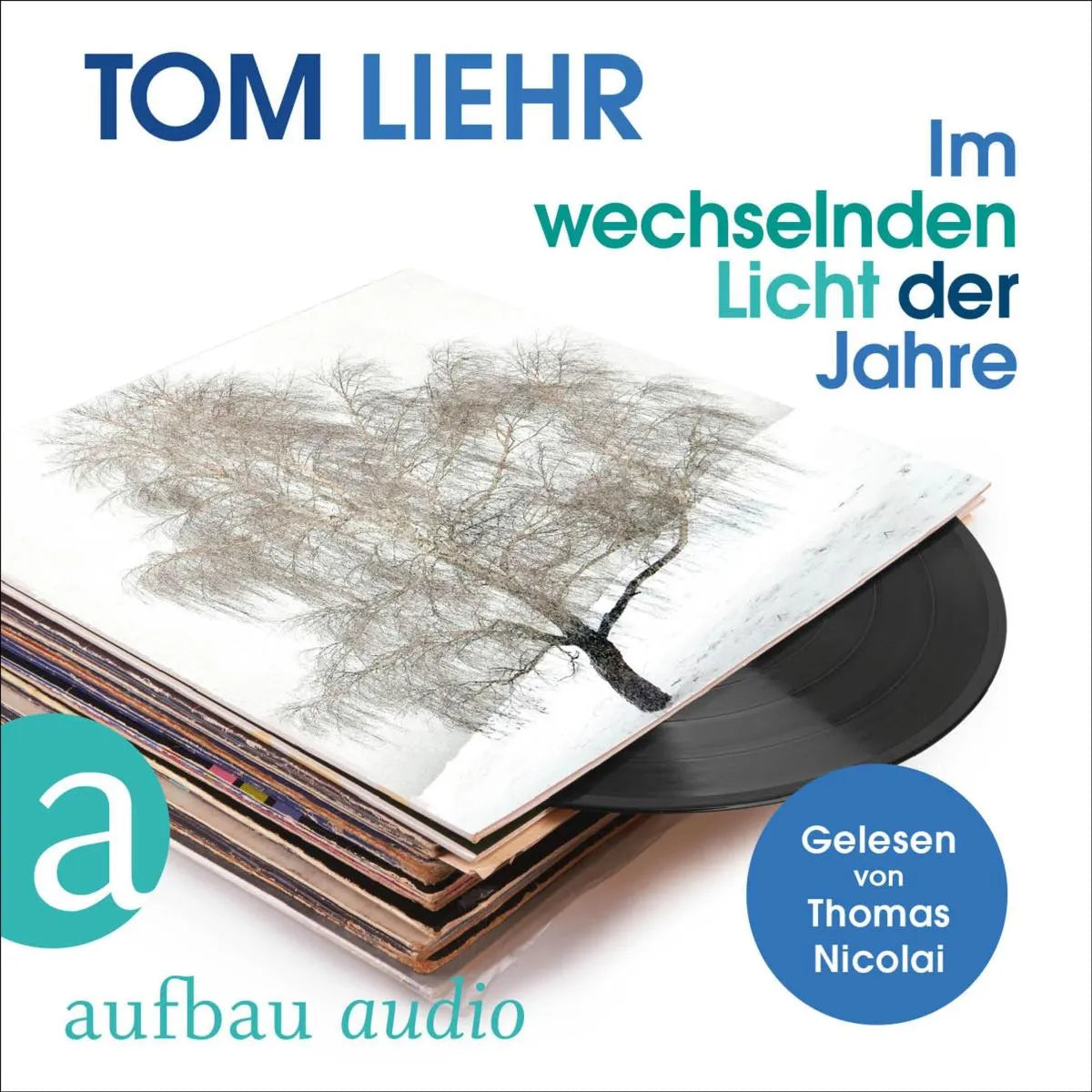 Cover: Im wechselnden Licht der Jahre (Hörbuch Download) von Tom Liehr