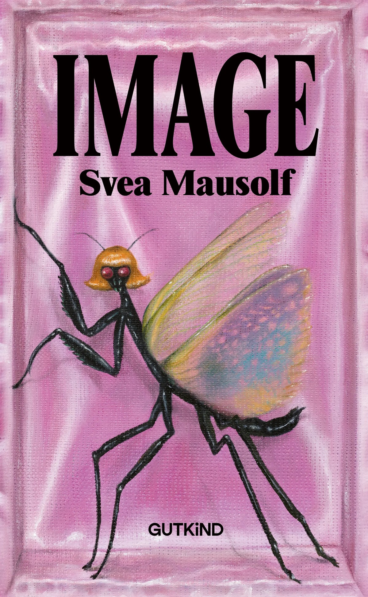 Buchcover von 'Image' - Gebundene Ausgabe von Svea Mausolf