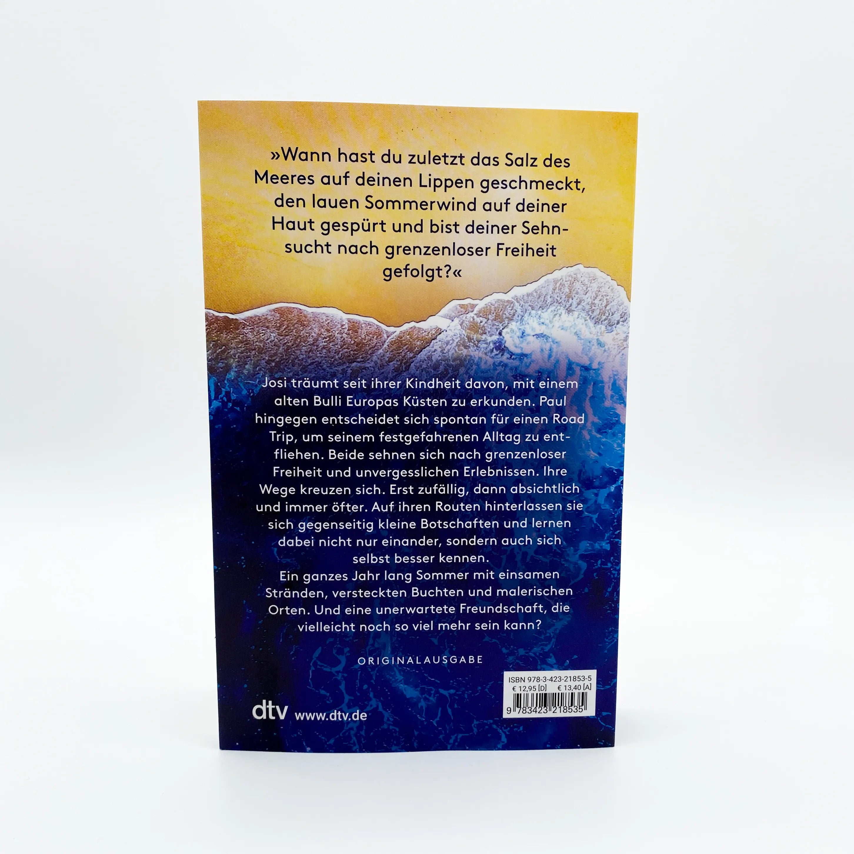 Produktansicht: Immer am Meer entlang (Taschenbuch)