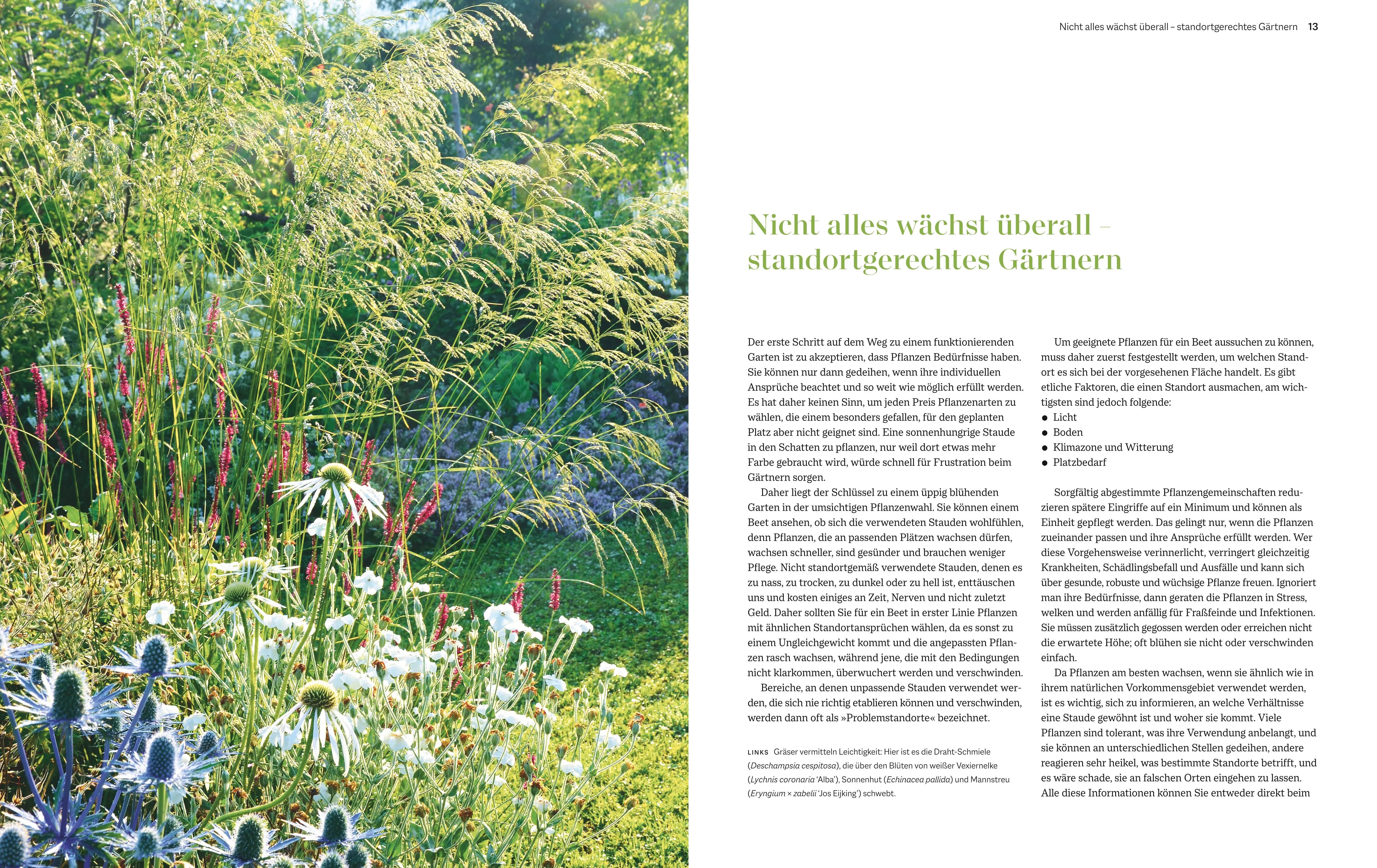 Produktansicht: Immerblühende Beete (Gebundene Ausgabe)