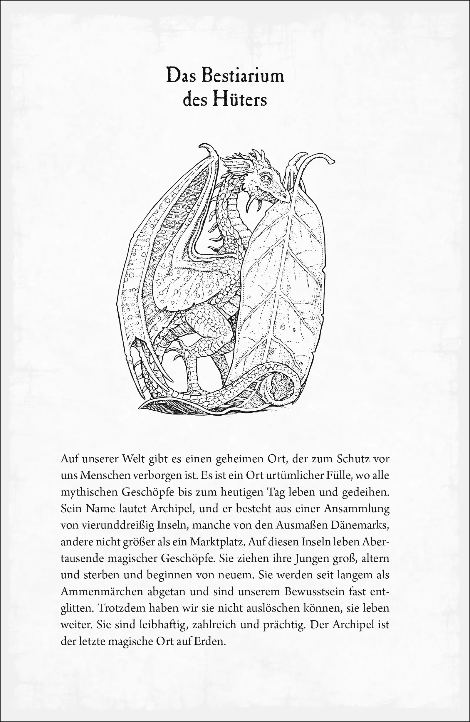 Detailansicht: Impossible Creatures – Das Geheimnis der unglaublichen Wesen (Hardcover)