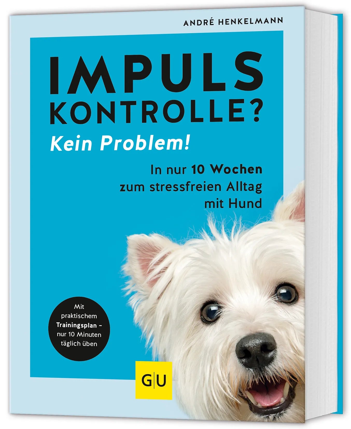 Buchcover von 'Impulskontrolle? Kein Problem!' - Taschenbuch von André Henkelmann