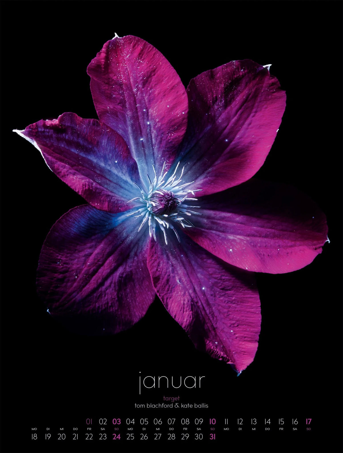 in bloom Kalender 2027 – Ansicht