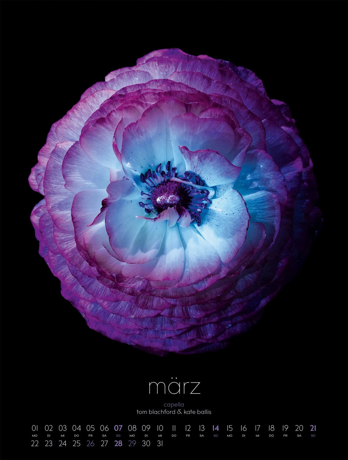 in bloom Kalender 2027 – Ansicht