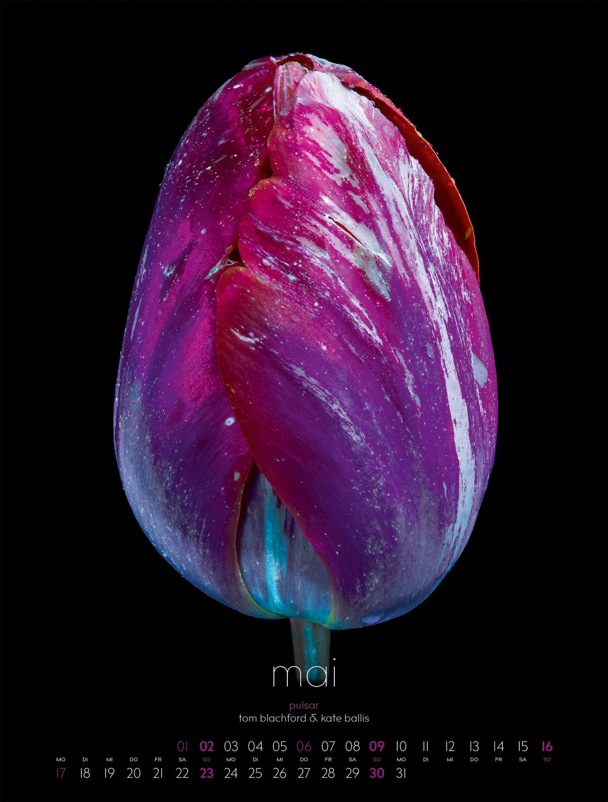 in bloom Kalender 2027 – Ansicht