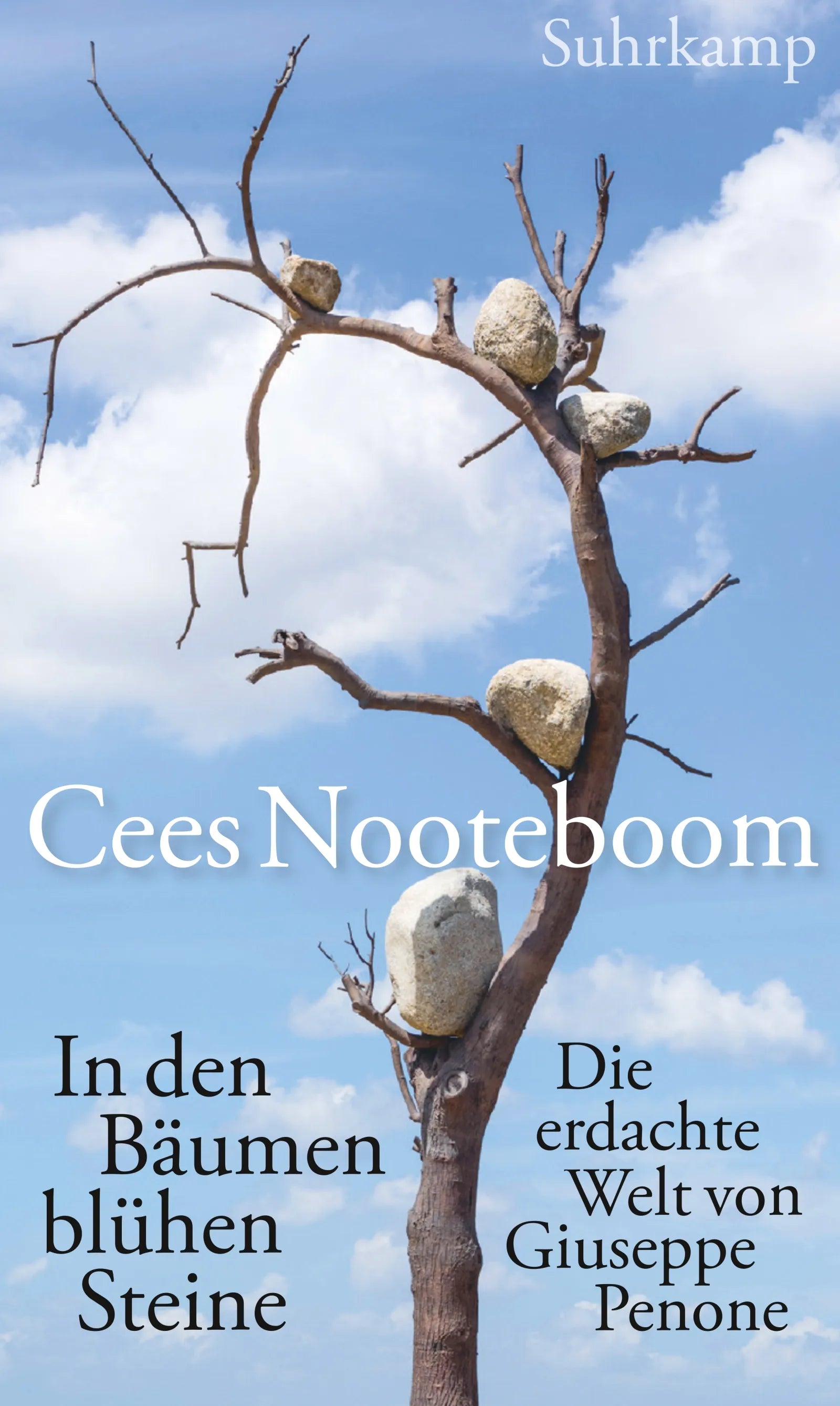 Cover: In den Bäumen blühen Steine (E-Book) von Cees Nooteboom