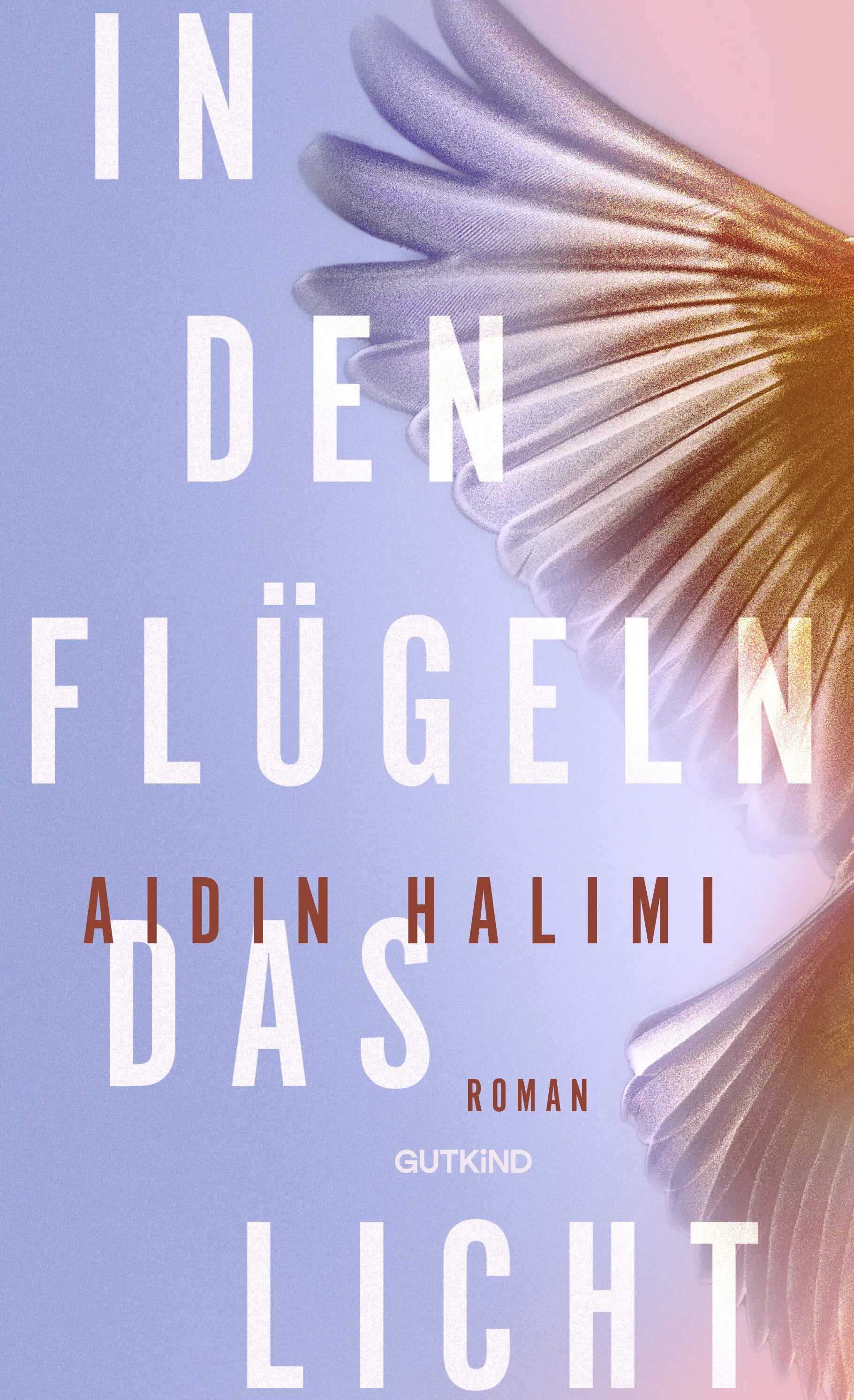 Buchcover von 'In den Flügeln das Licht' - Gebundene Ausgabe von Aidin Halimi
