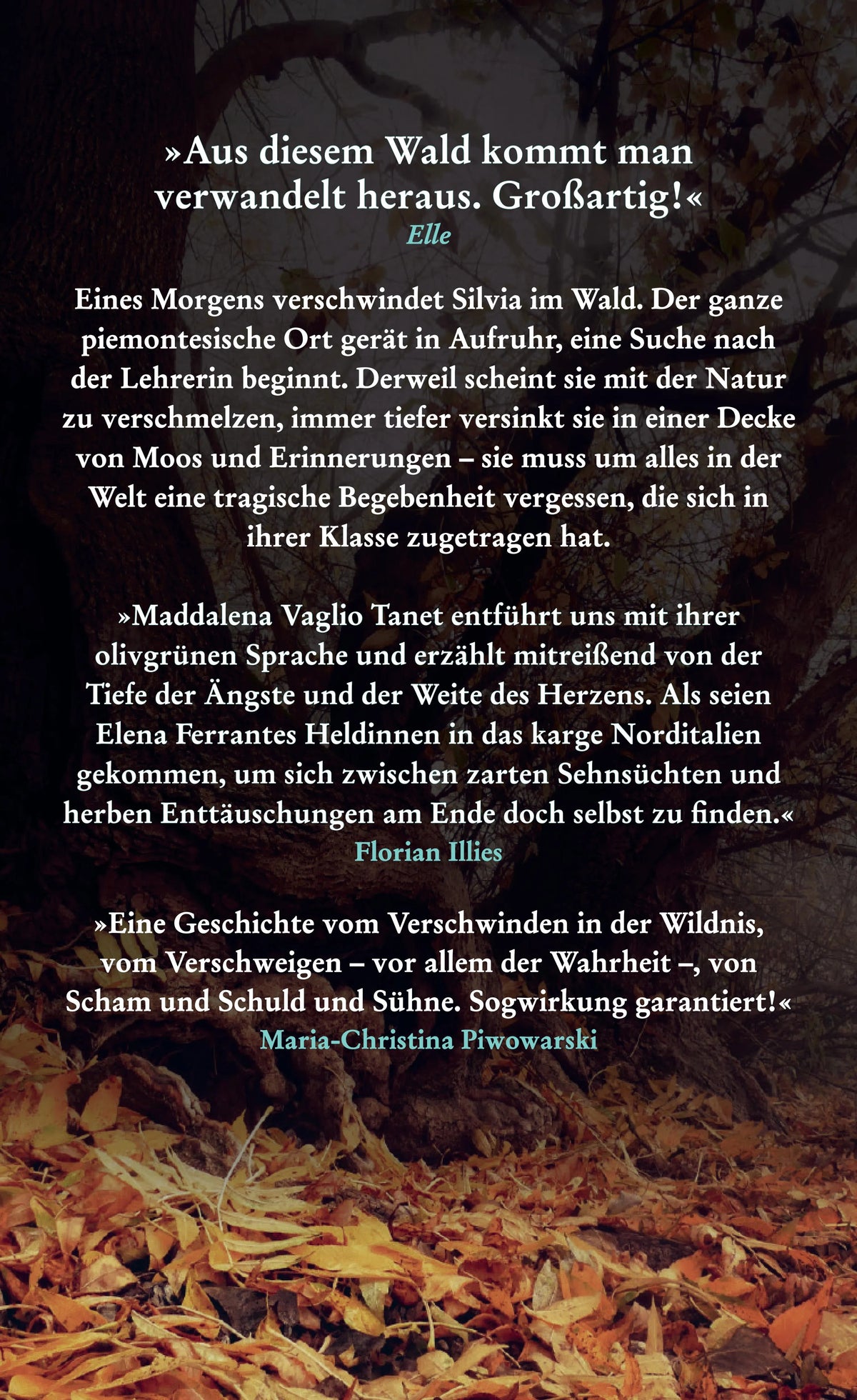 Buchrückseite von 'In den Wald' mit Klappentext - Gebundene Ausgabe
