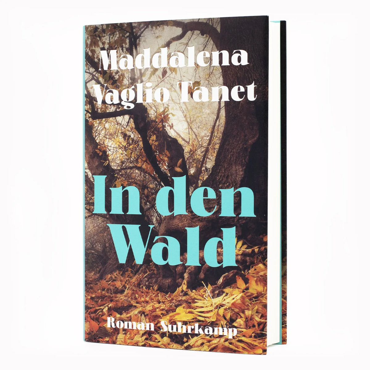 Abbildung von 'In den Wald'