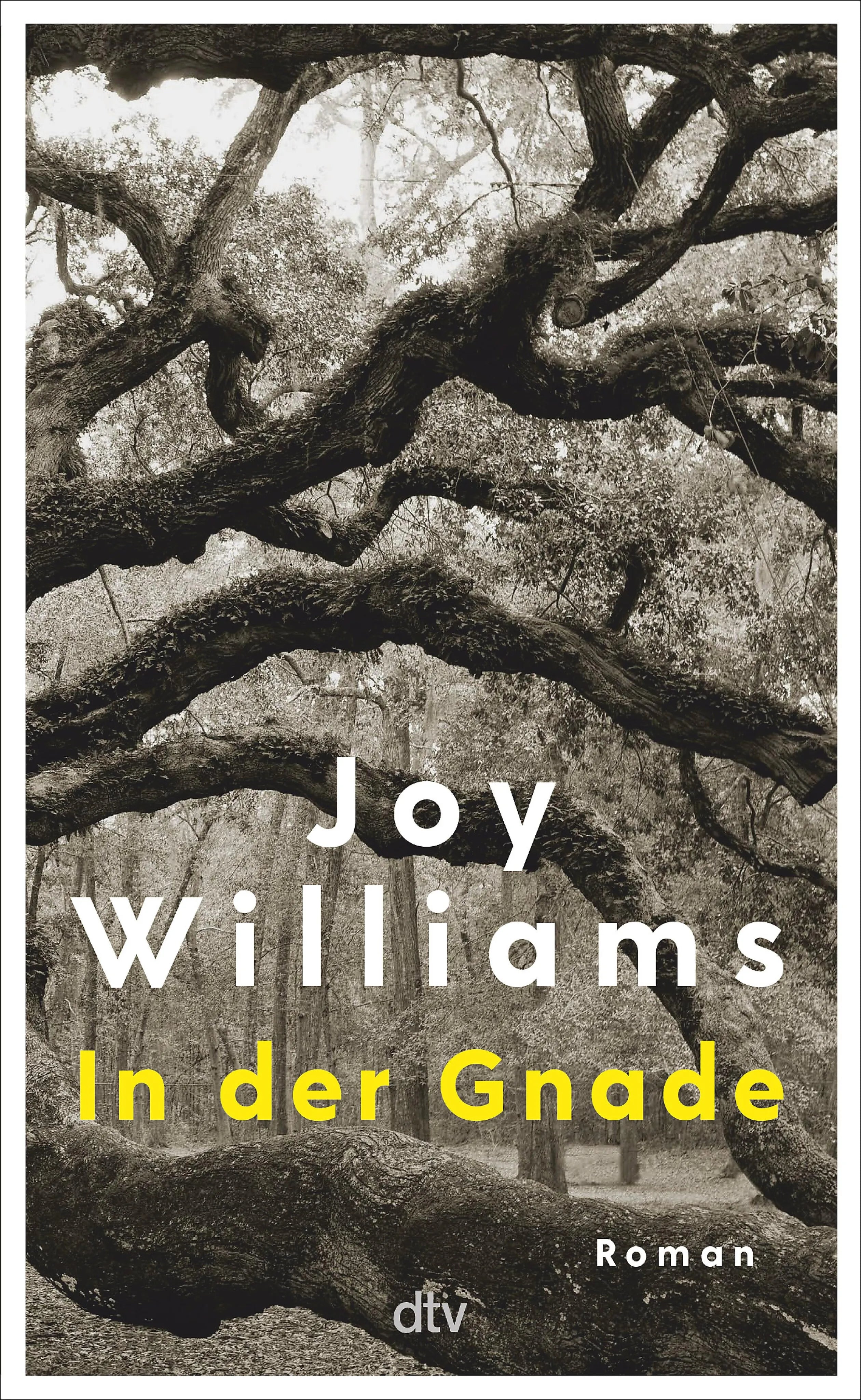 Cover: In der Gnade (E-Book) von Joy Williams