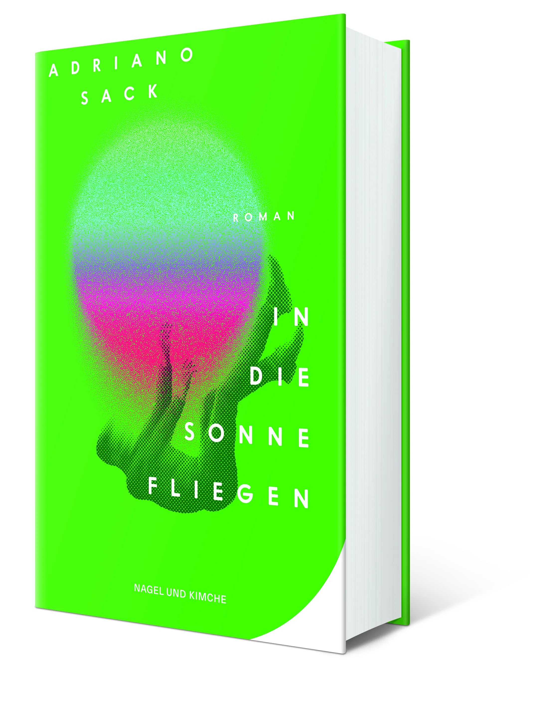 Innenansicht von 'In die Sonne fliegen' - Gebundene Ausgabe