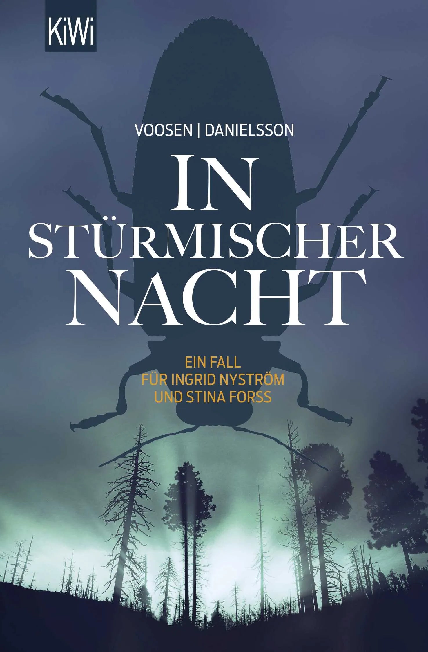 Buchcover von 'In stürmischer Nacht' - Taschenbuch von Roman Voosen