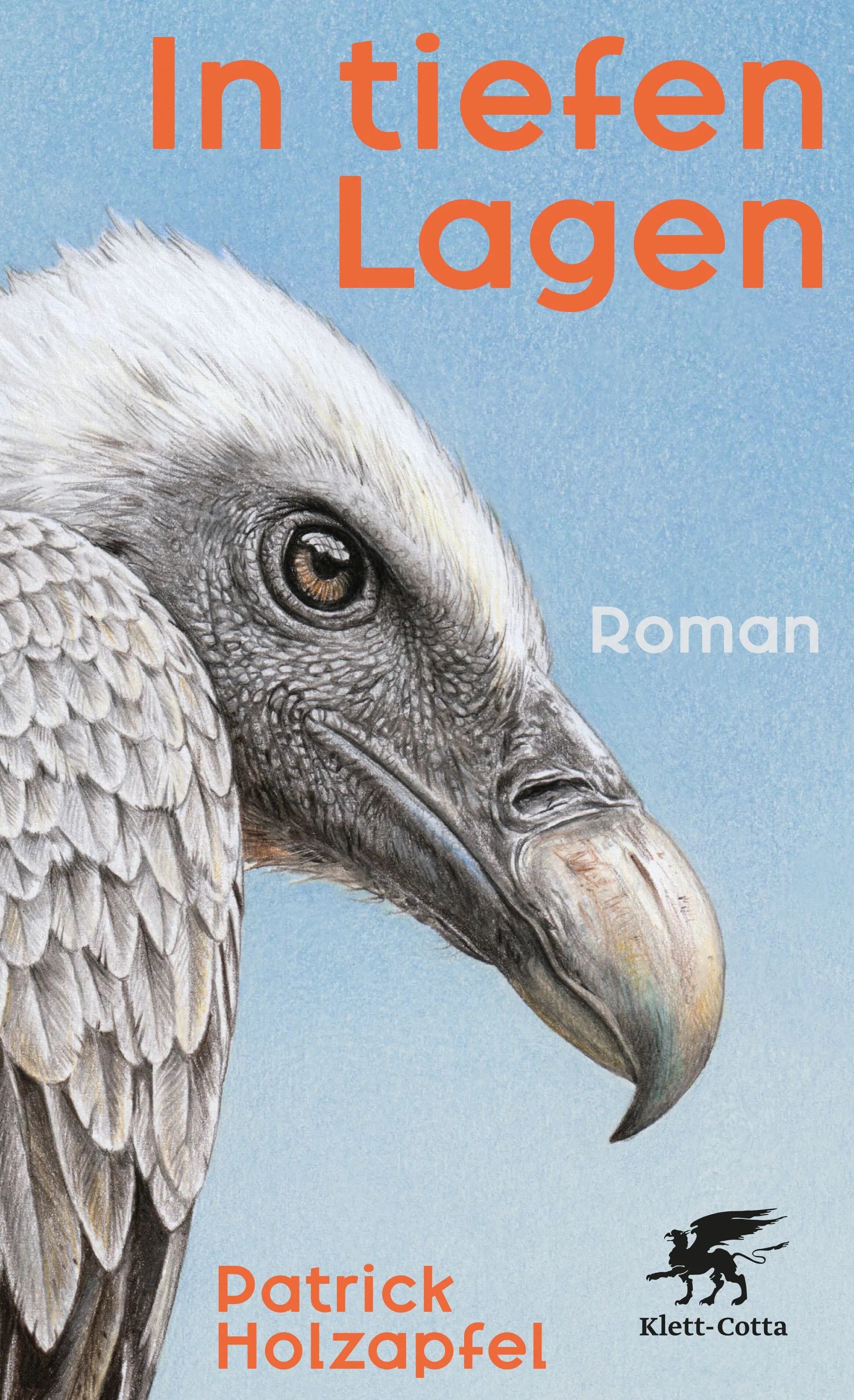 Cover: In tiefen Lagen (Hardcover) von Patrick Holzapfel