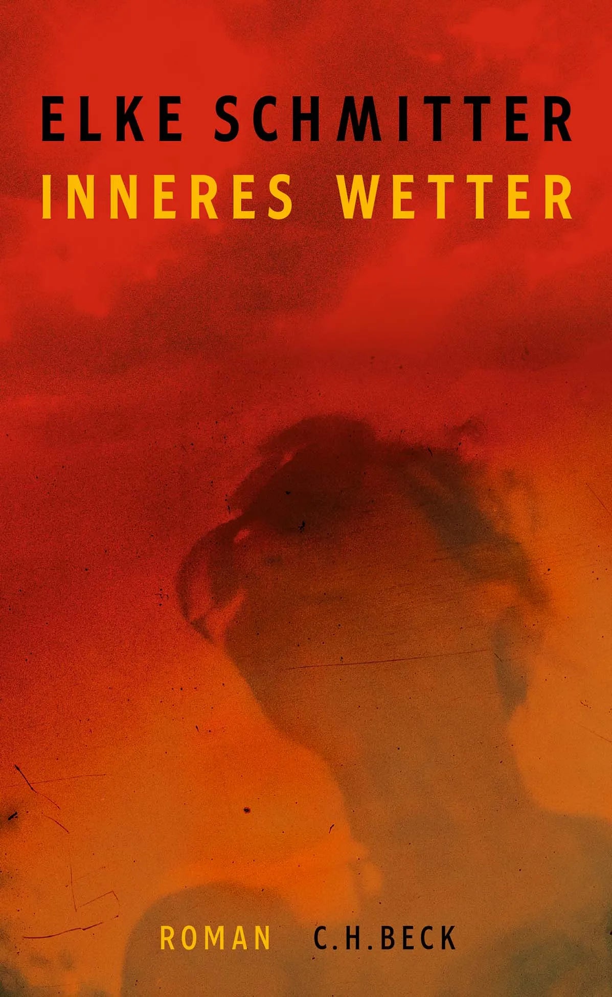 Buchcover von 'Inneres Wetter' - Gebundene Ausgabe von Elke Schmitter