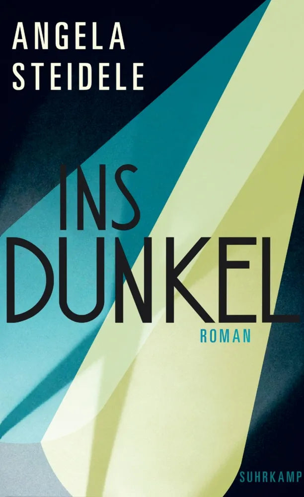 Cover: Ins Dunkel (E-Book) von Angela Steidele