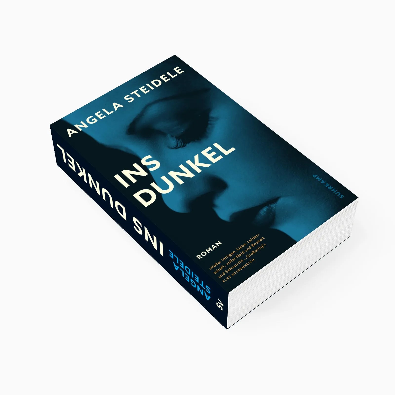 Detailansicht: Ins Dunkel (Taschenbuch)
