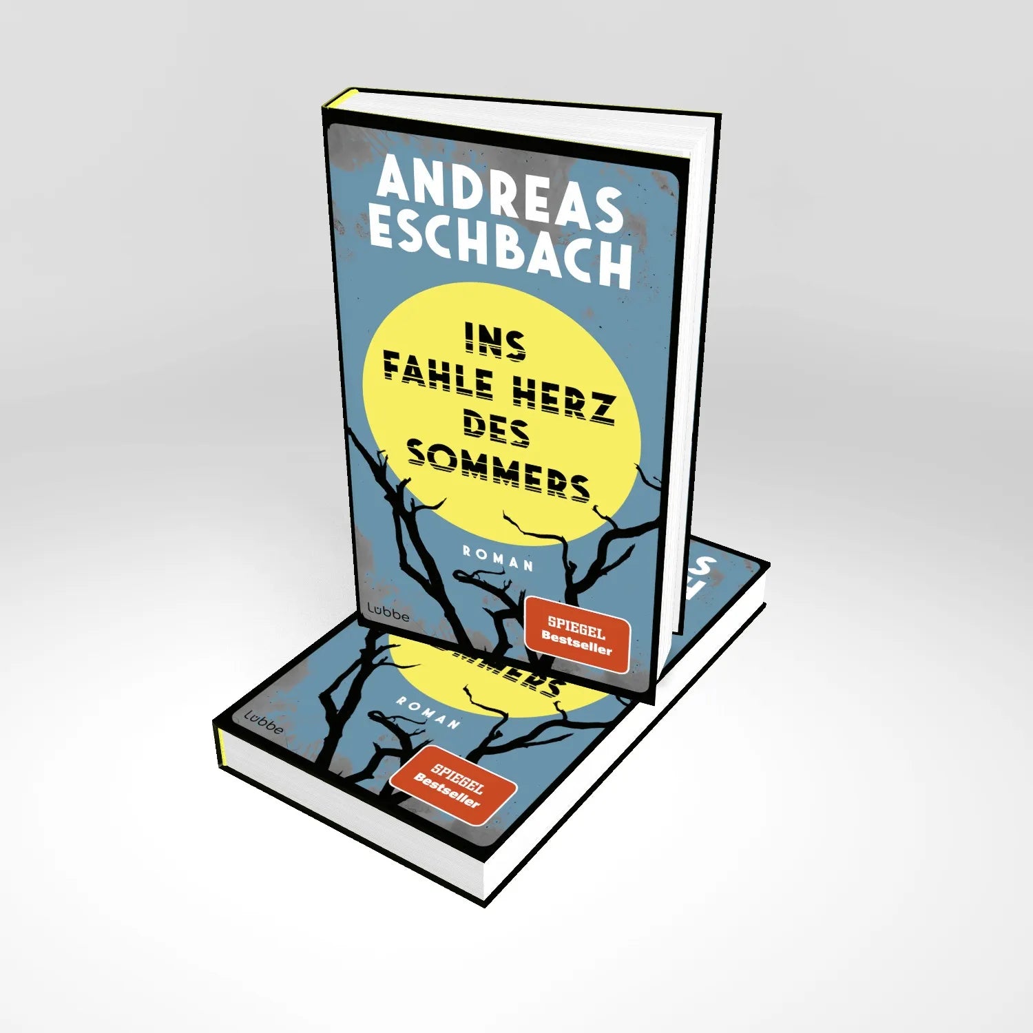 Detailansicht: Ins fahle Herz des Sommers (Hardcover)