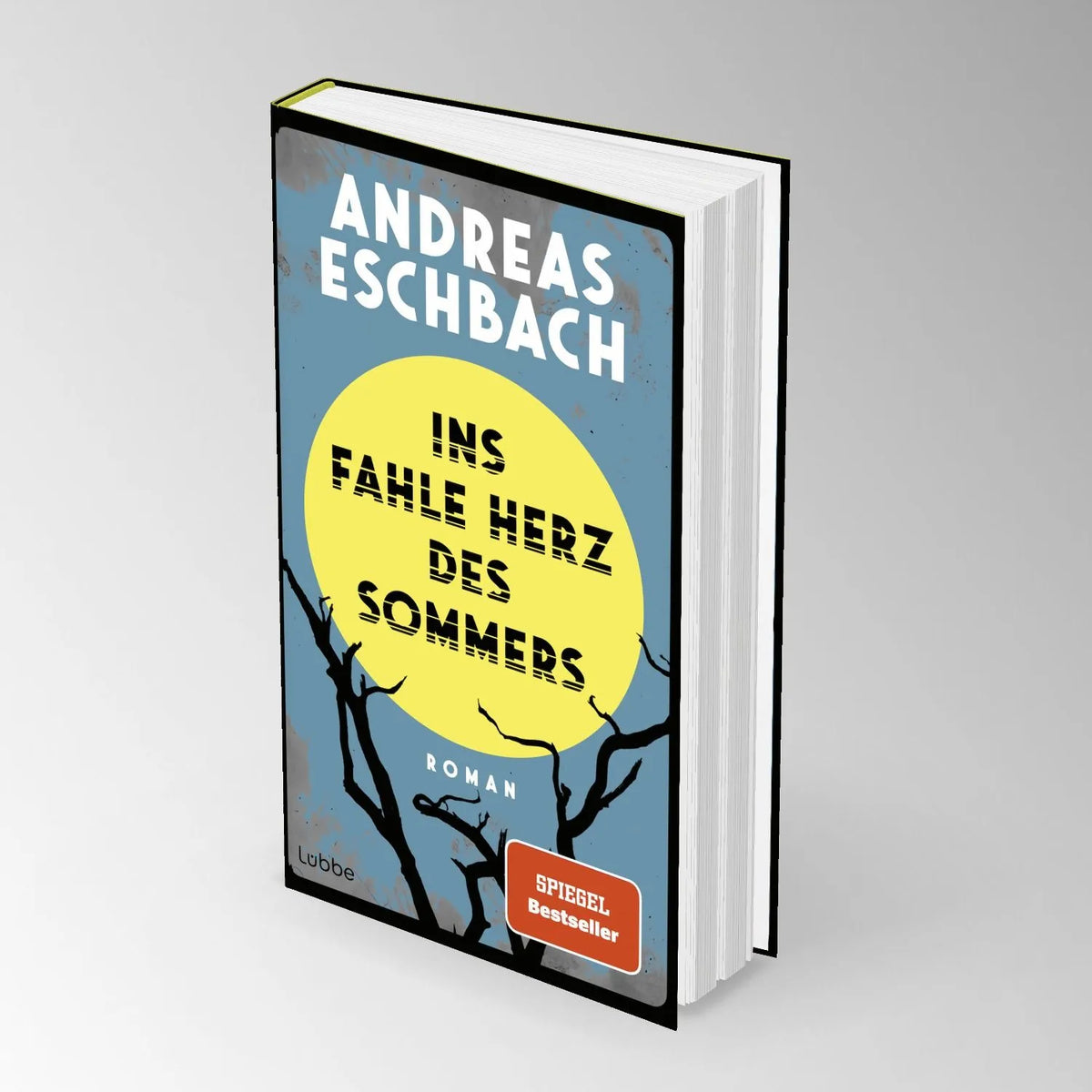 Detailansicht: Ins fahle Herz des Sommers (Hardcover)