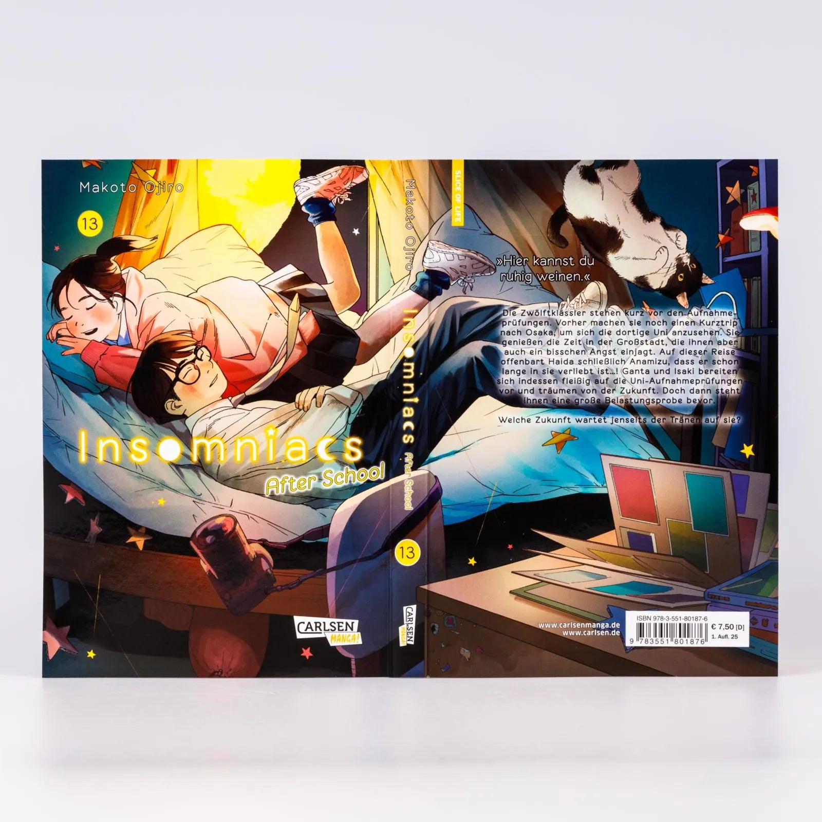 Abbildung von 'Insomniacs After School 13'
