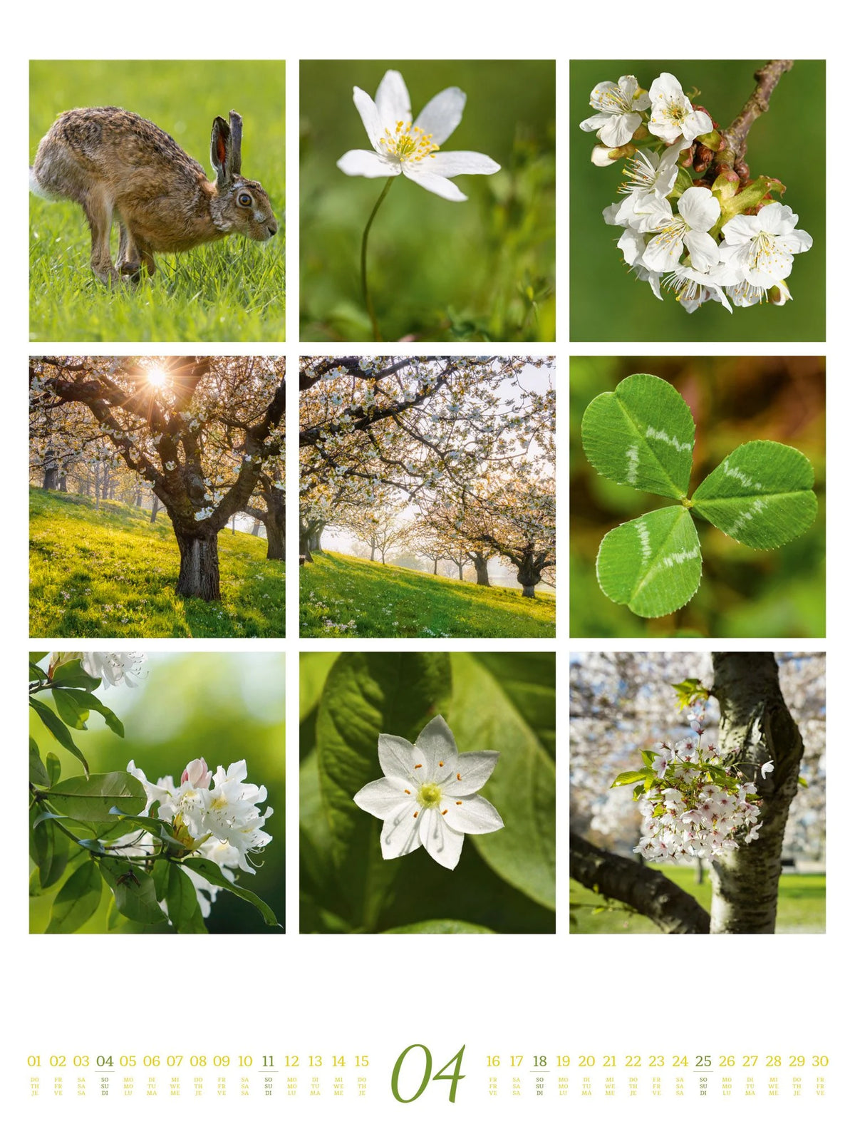 Inspiration Natur Kalender 2027 – Ansicht