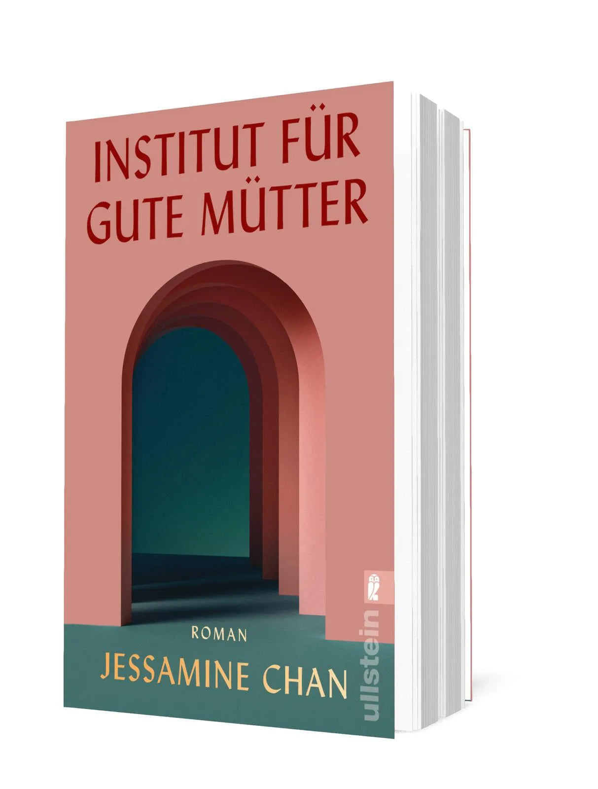 Detailansicht: Institut für gute Mütter (Taschenbuch)