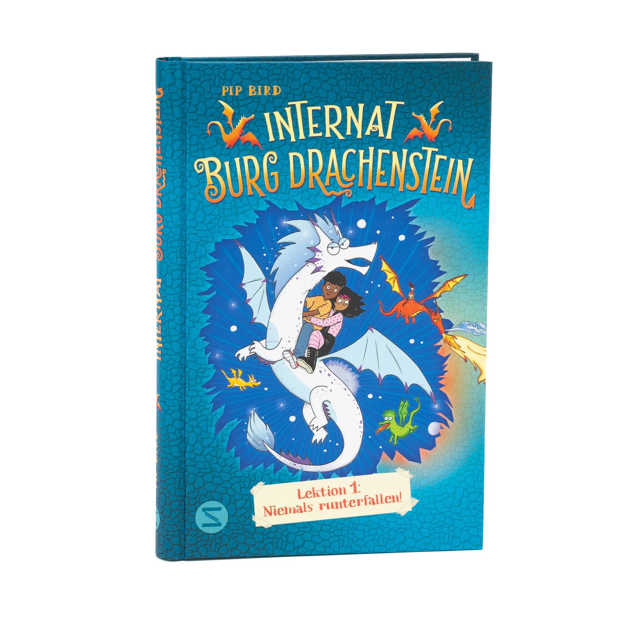 Produktansicht: Internat Burg Drachenstein. Drachenreiten Lektion 1: Niemals runterfallen! (Gebundene Ausgabe)