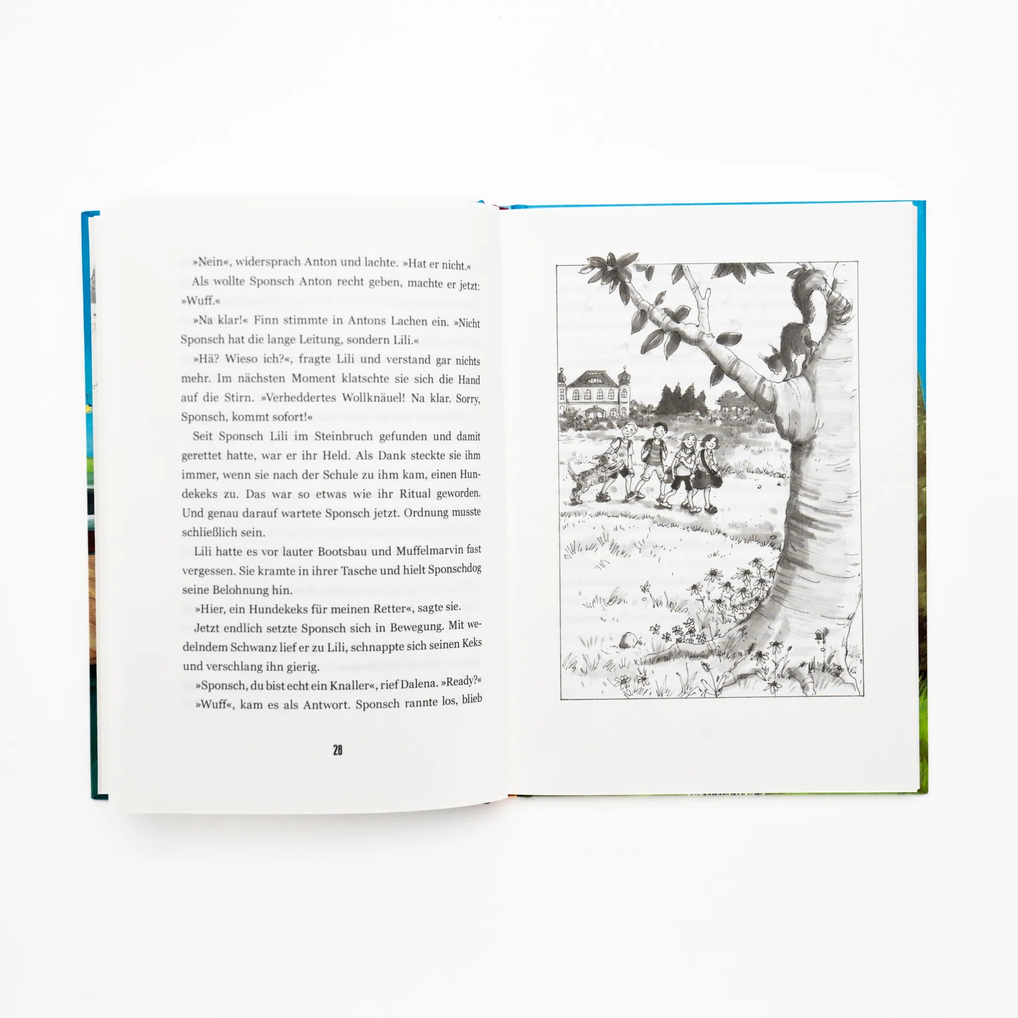 Detailansicht: Internat Schloss Sommerberg – Fünf Pfoten und das Sommerfest am Waldsee (Hardcover)