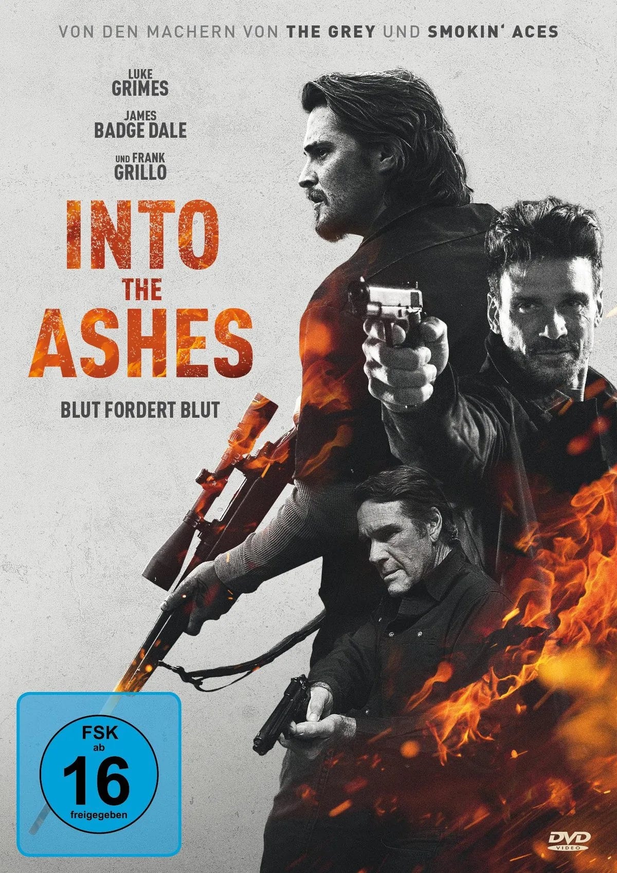 Into the Ashes - DVD