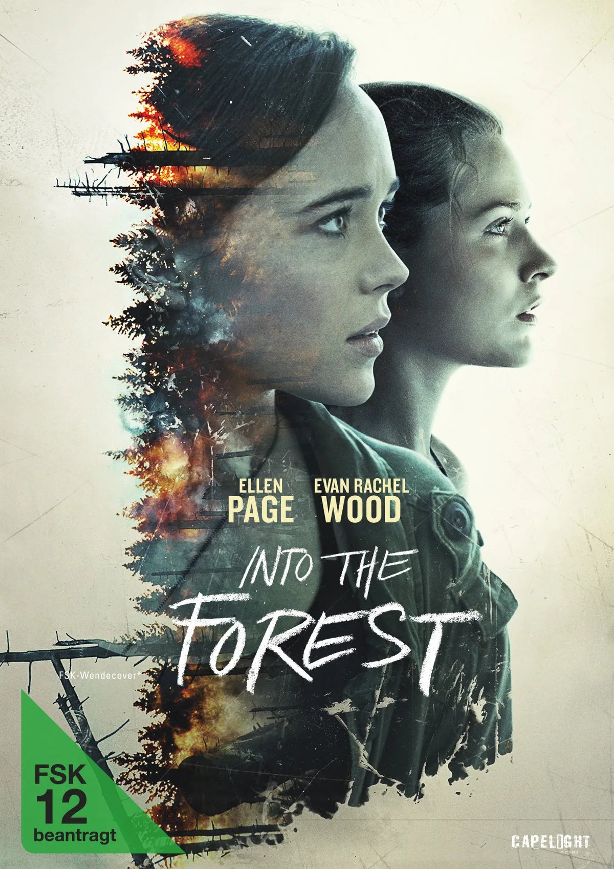 Into the Forest - DVD
