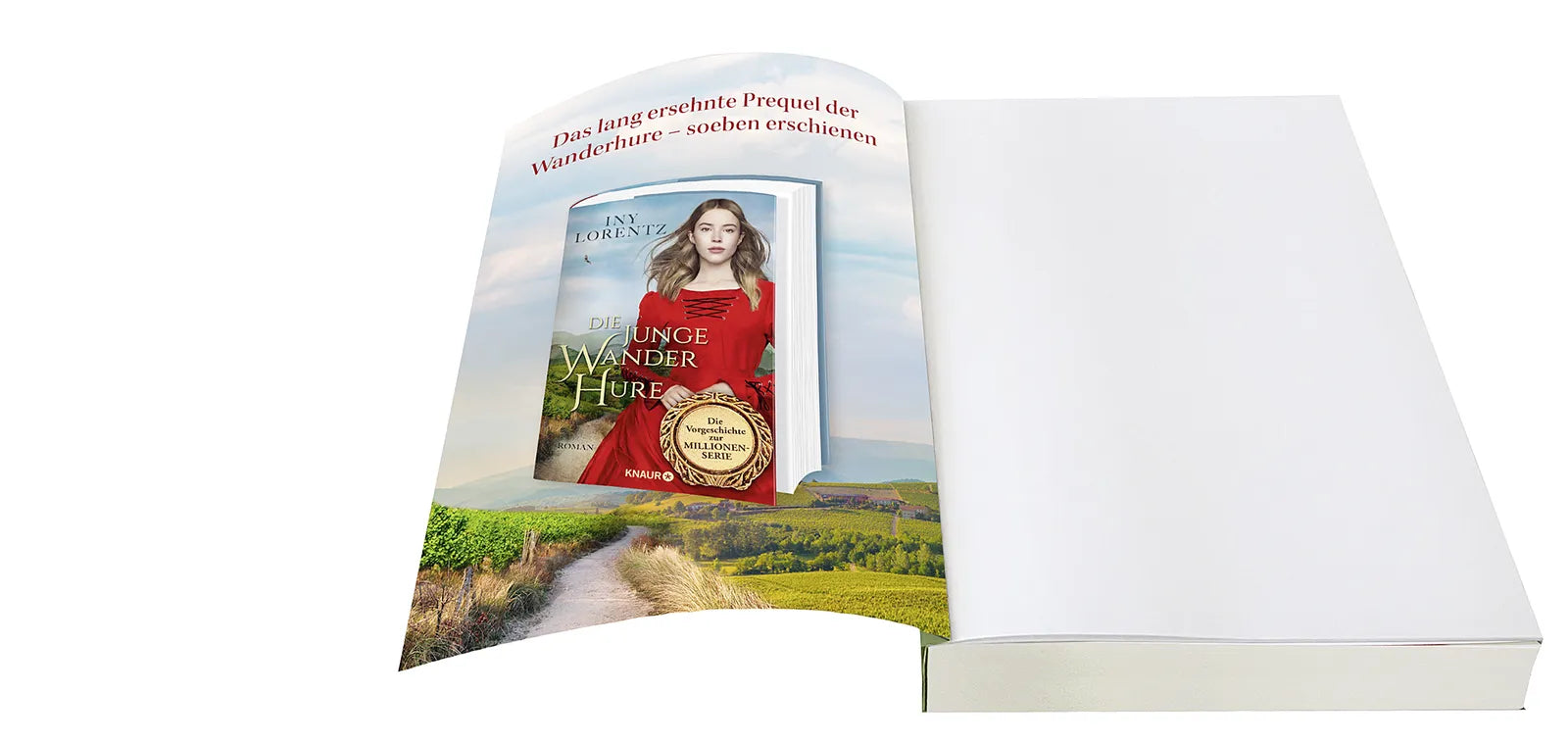 Produktansicht: Die Wanderhure (Taschenbuch)