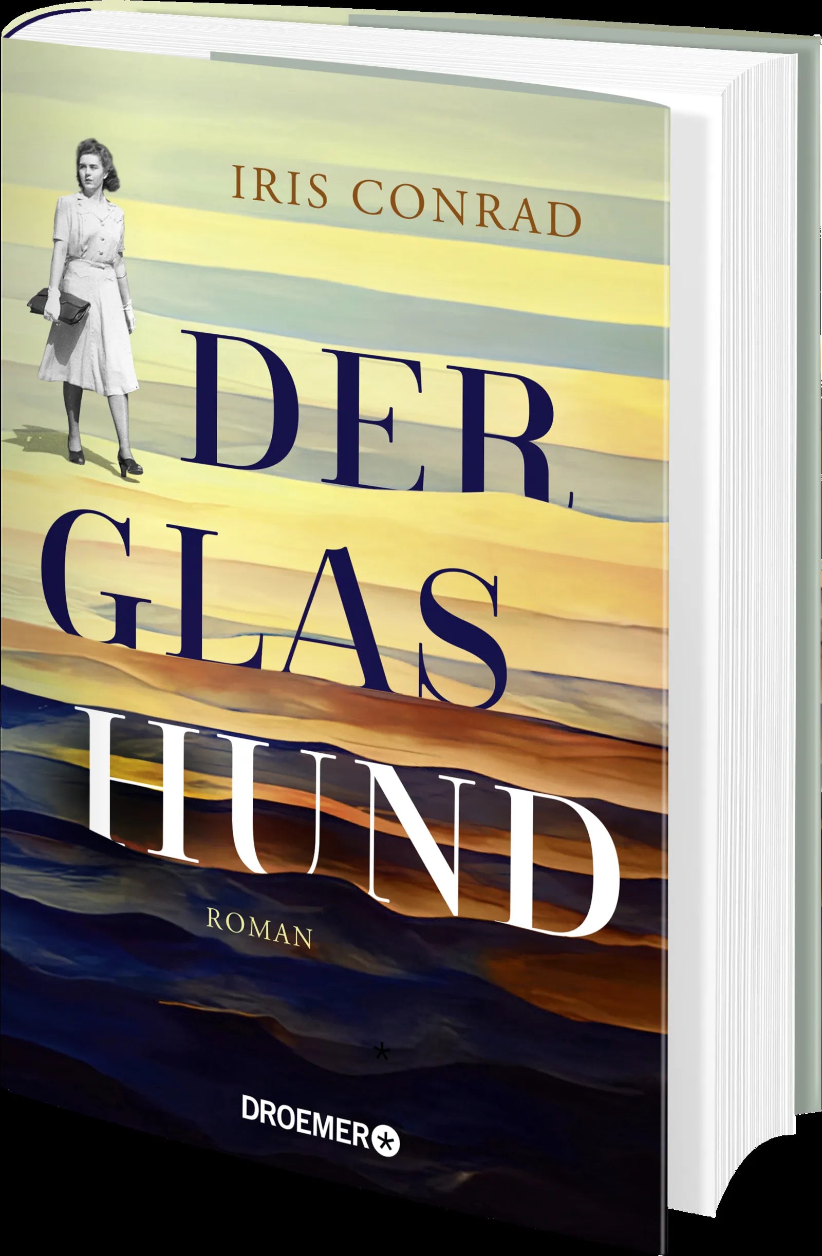Produktansicht: Der Glashund (Gebundene Ausgabe)