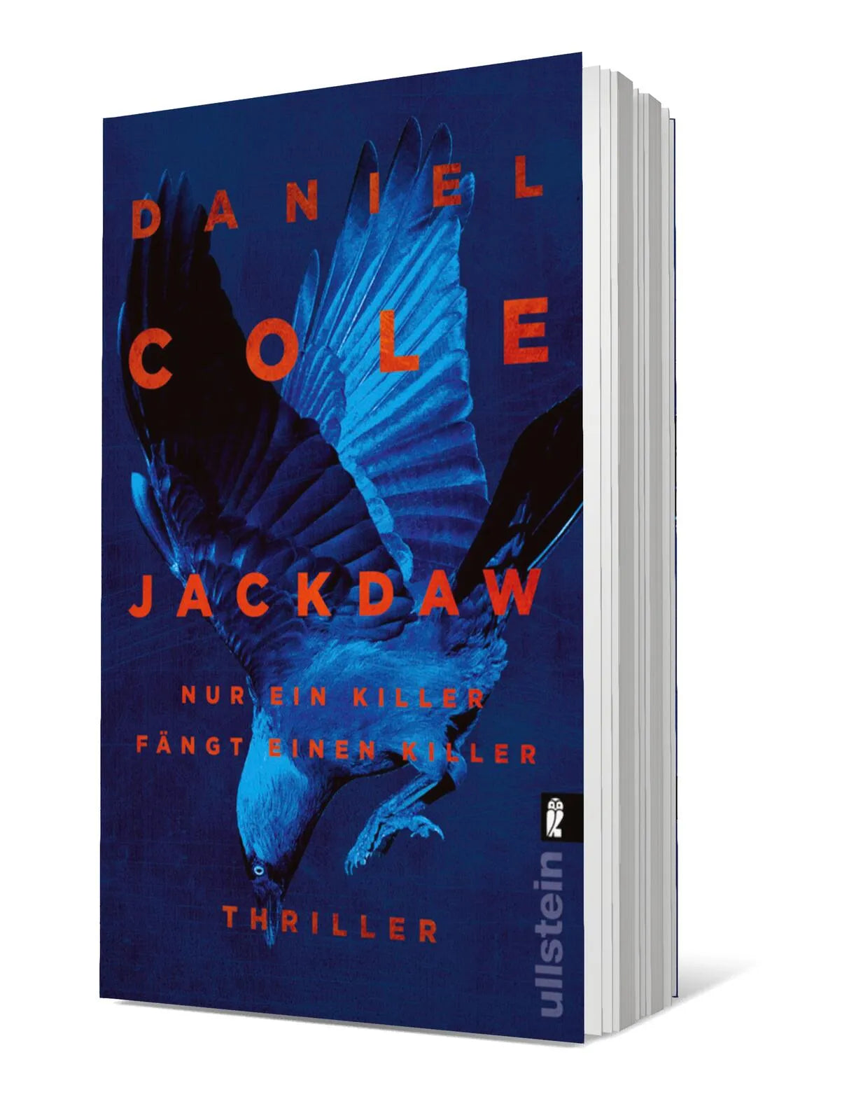 Produktansicht: Jackdaw (Taschenbuch)