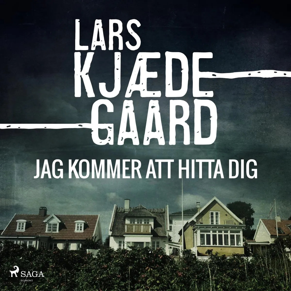 Cover: Jag kommer att hitta dig (Hörbuch Download) von Lars Kjædegaard