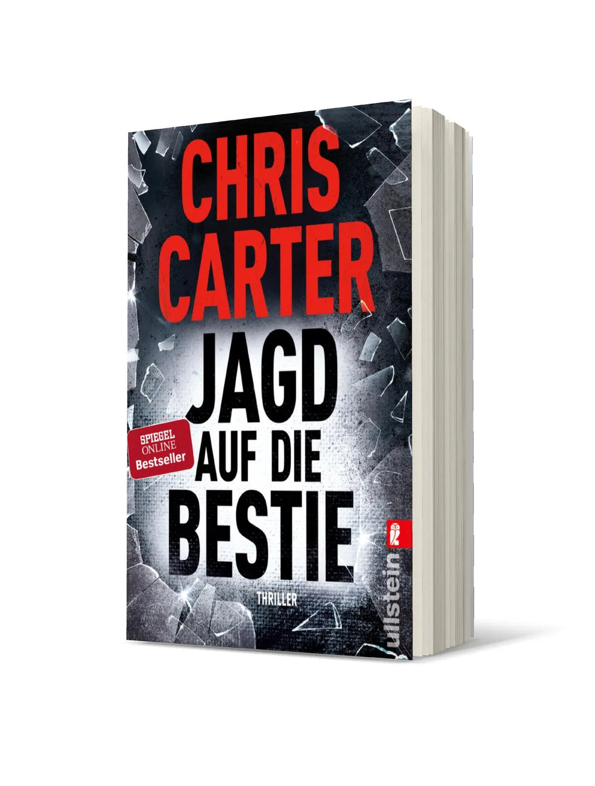 Produktansicht: Jagd auf die Bestie (Taschenbuch)
