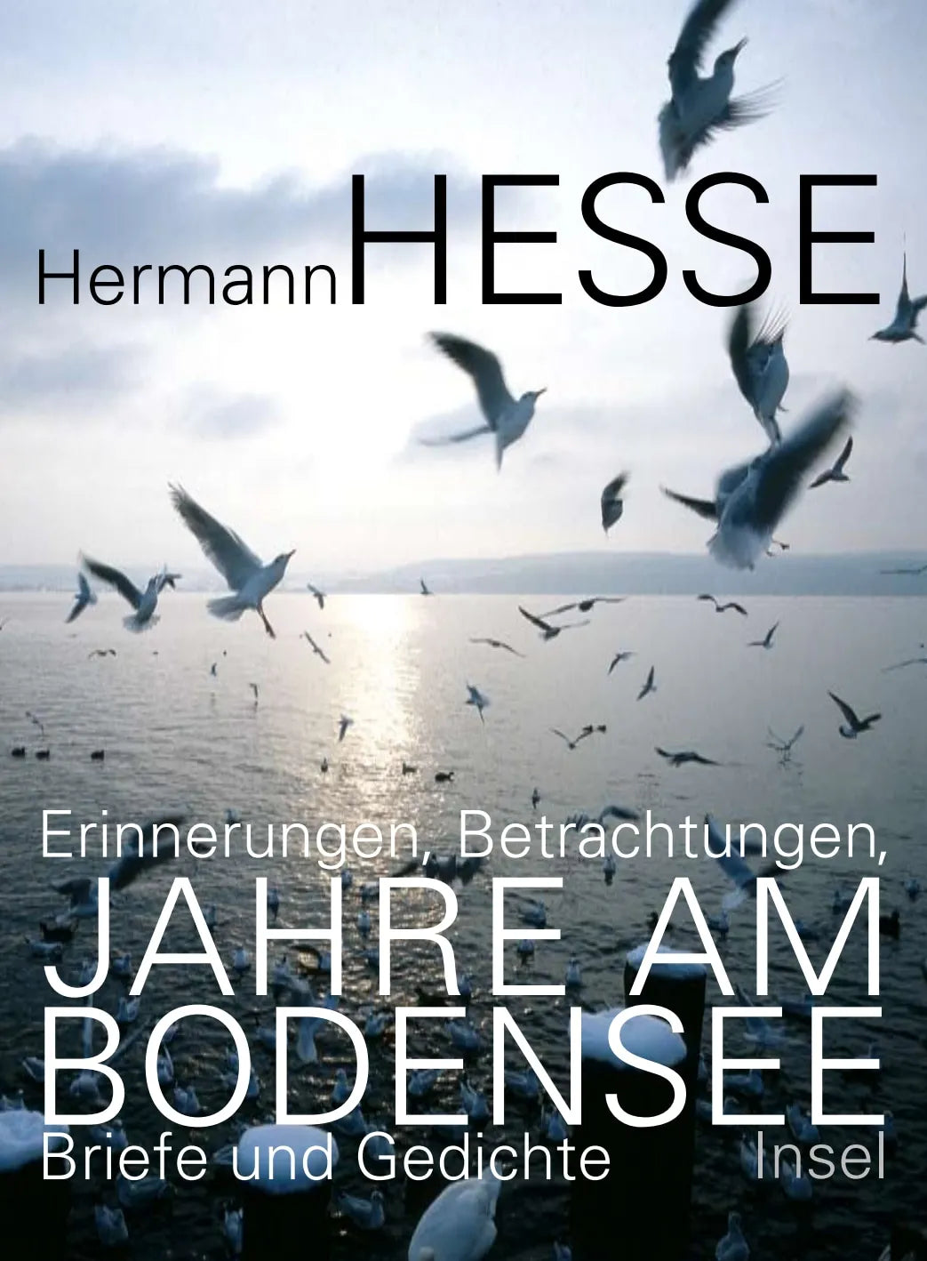 Buchcover von 'Jahre am Bodensee' - Gebundene Ausgabe von Hermann Hesse