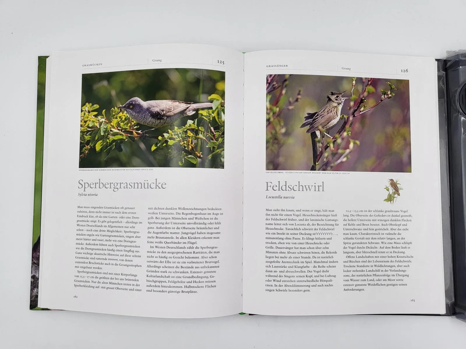 Produktansicht: Vogelstimmen (Gebundene Ausgabe)