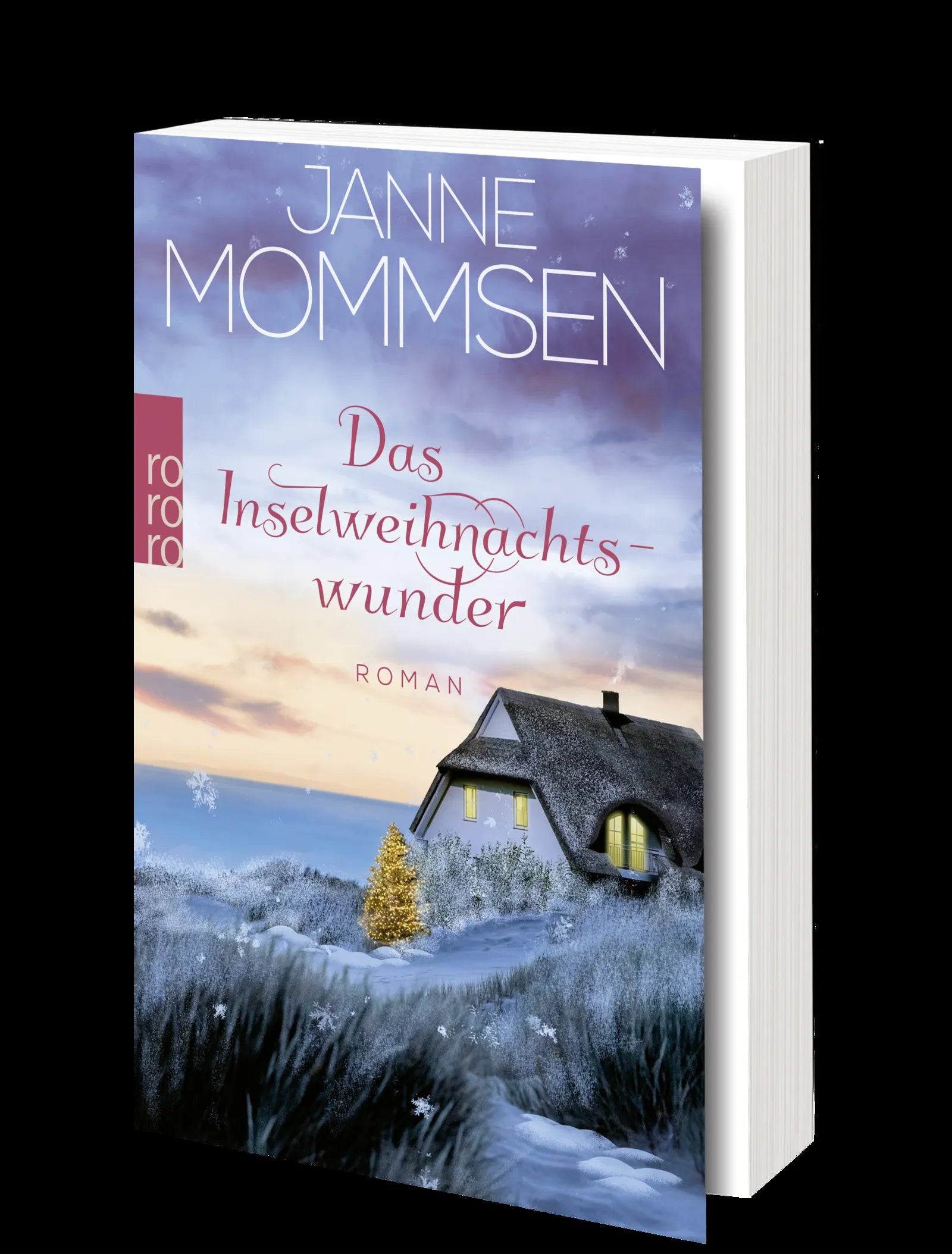 Produktansicht: Das Inselweihnachtswunder (Taschenbuch)