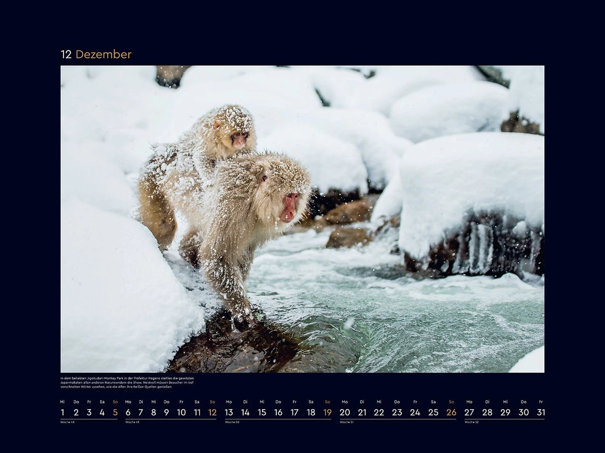 Japan - KUNTH Wandkalender 2027 – Ansicht