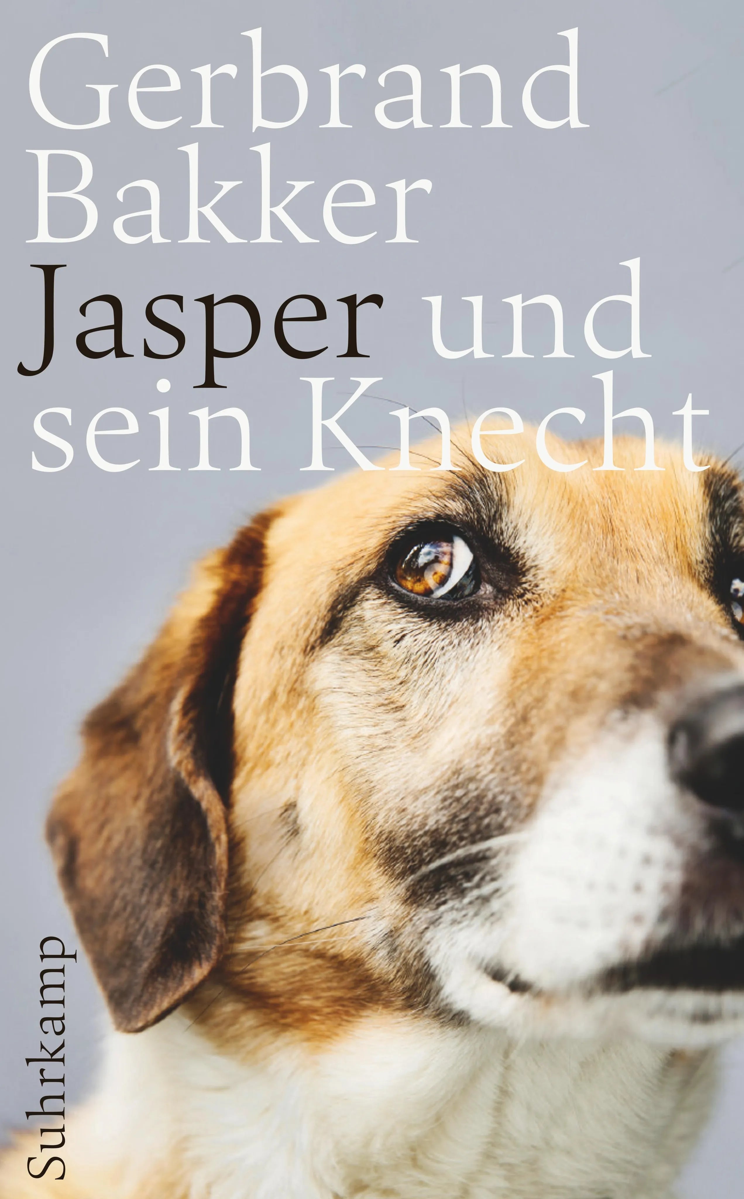 Buchcover von 'Jasper und sein Knecht' - Taschenbuch von Gerbrand Bakker