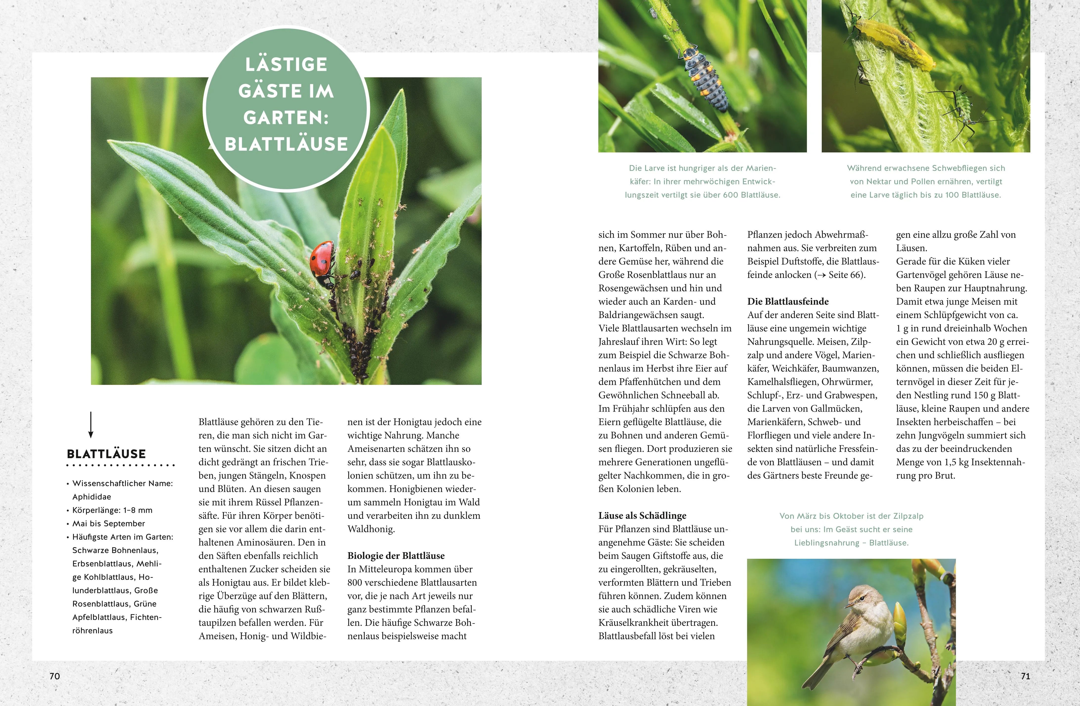 Produktansicht: Jede Blüte zählt! (Gebundene Ausgabe)