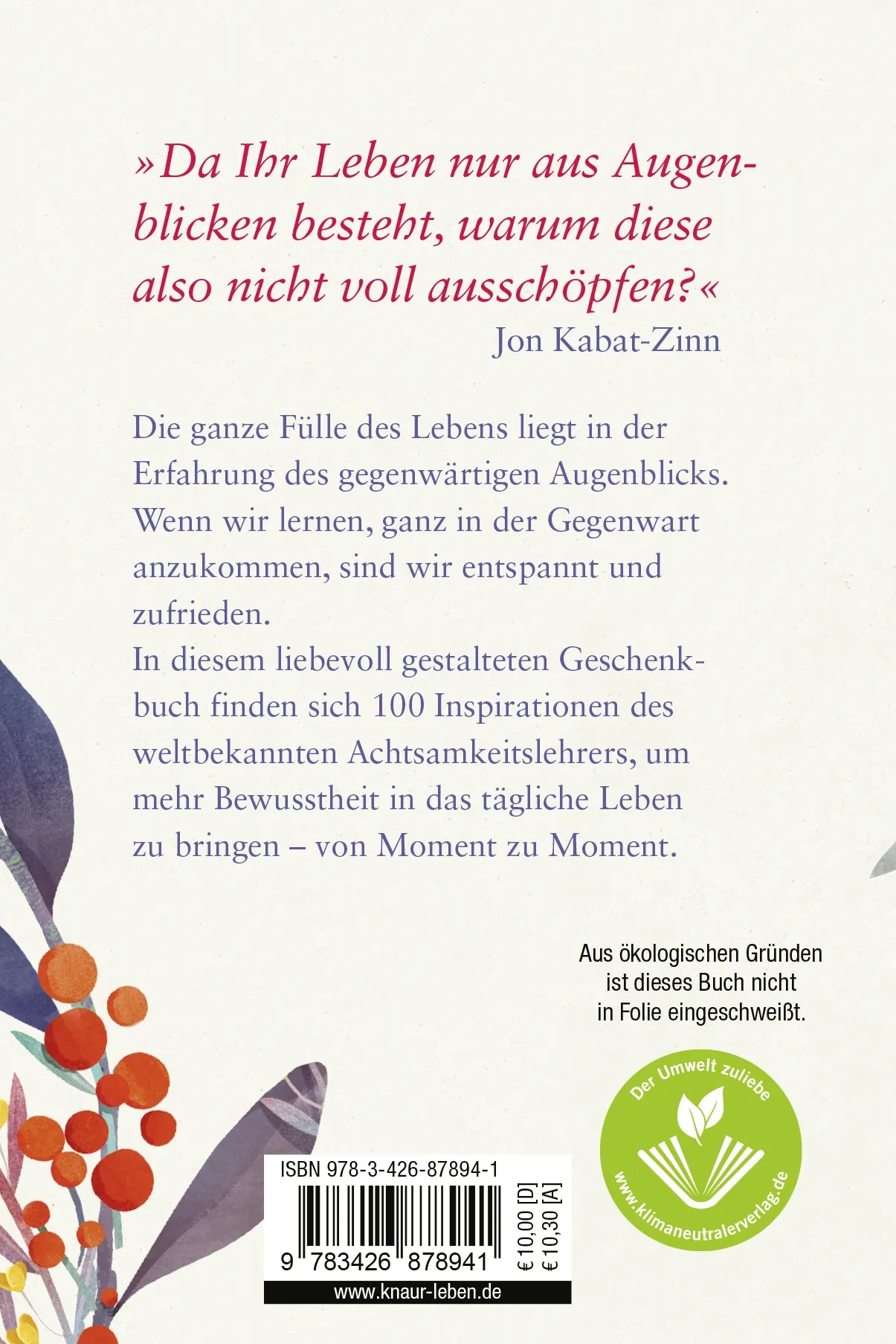 Buchrückseite von 'Jeder Augenblick kann dein Lehrer sein' mit Klappentext - Taschenbuch