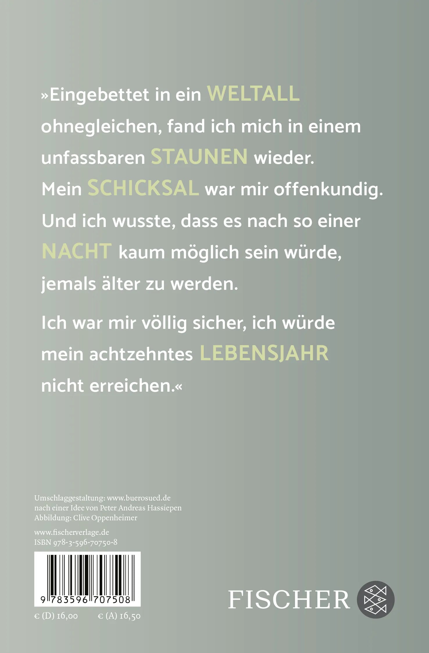 Buchrückseite von 'Jeder für sich und Gott gegen alle' mit Klappentext - Taschenbuch